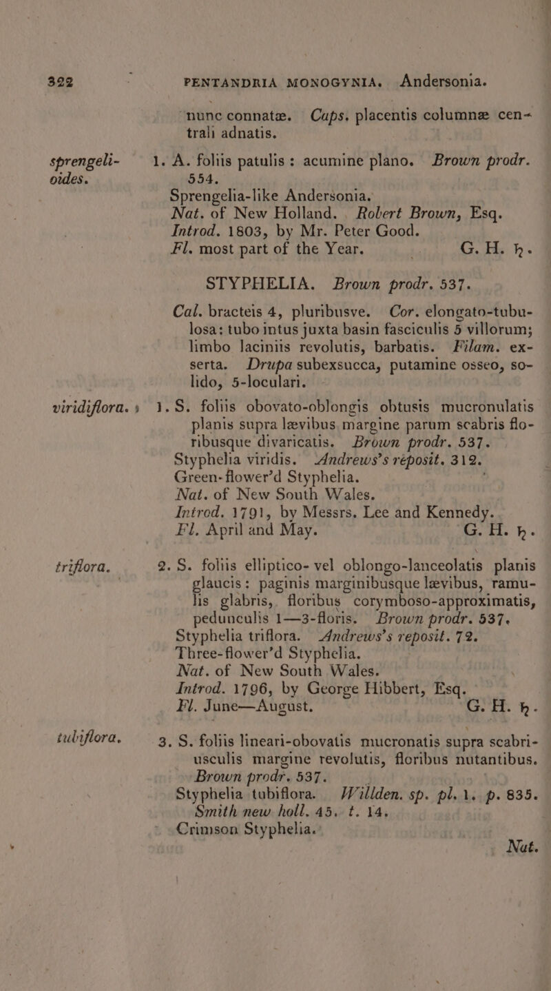 “nunc connate. Cups. placentis columne cen~&lt; trali adnatis. sprengeli- 1. A. foliis patulis : acumine plano. Brown prodr. oides. 554, Sprengelia-like Andersonia. Nat. of New Holland. . Robert Brown, Esq. Introd. 1803, by Mr. Peter Good. Fl. most part of the Year. ba G. Hs). STYPHELIA. Brown prodr. 537. Cal. bracteis 4, pluribusve. Cor. elongato-tubu- losa; tubo intus juxta basin fasciculis 5 villorum; limbo lacinits revolutis, barbatis. Filam. ex- serta. Drupasubexsucca, putamine osseo, so- © lido, 5-loculari. viridiflora.) 1.8. foliis obovato-oblongis obtusis mucronulatis planis supra lzvibus. margine parum scabris flo- ribusque divaricatis. Brown prodr. 537. Styphelia viridis. -Andrews’s réposit. 312. Green- flower’d Styphelia. Nat. of New South Wales. Intred. 1791, by Messrs, Lee and Kennedy. Fl, April and May. G. H. h. érifiora. 2.S. foliis elliptico- vel oblongo-Janceolatis planis : glaucis: paginis marginibusque levibus, ramu- lis glabris,. floribus corymboso-approximatis, pedunculis 1—3-floris. Brown prodr. 537. Styphelia triflora. _4Andrews’s reposit. 72. Three-flower’d Styphelia. Nat. of New South Wales. Introd. 1796, by George Hibbert, Esq. Fl. June—August. G. H. bh. tubiflora, 3. S. foliis lineari-obovatis mucronatis supra scabri- usculis margine revolutis, floribus nutantibus. Brown prodr. 537. 4 Styphelia tubiflora. Willden. sp. pl... p. 835. Smith new holl. 45. t. 14. Crimson Styphelia. ’ Nat.