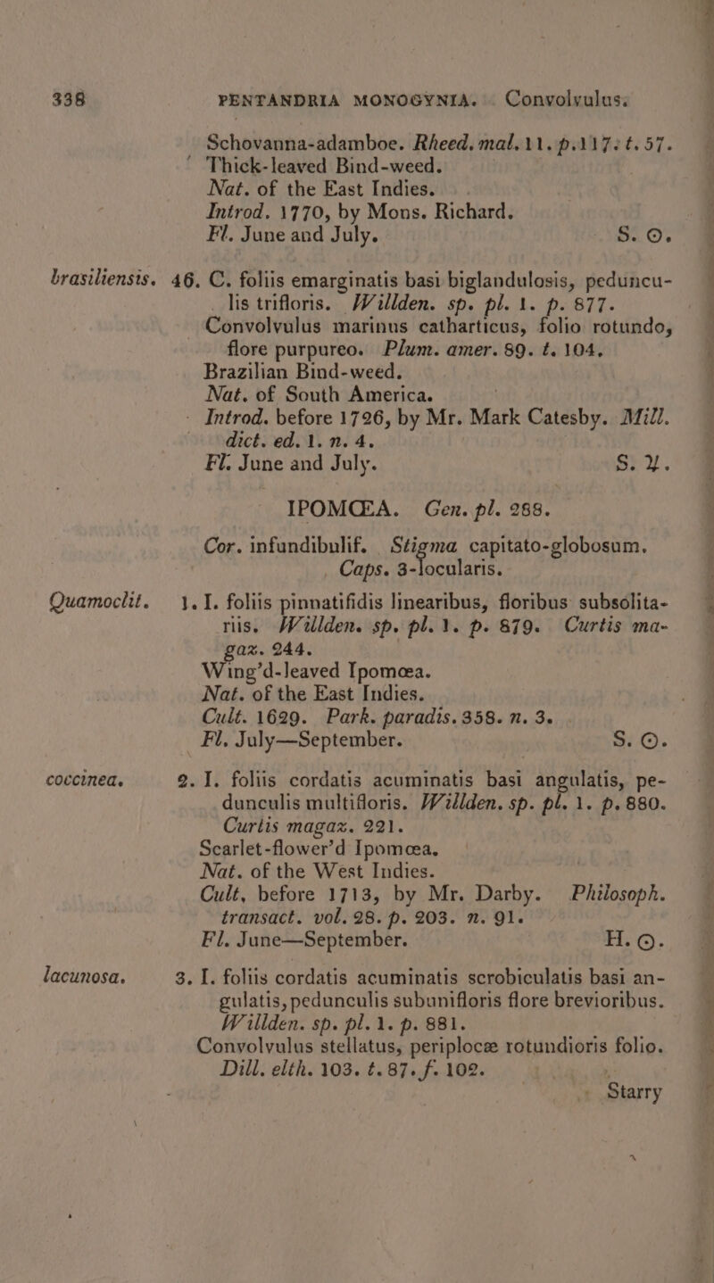 Schovanna-adamboe. Rheed. mal.11.p.1176 t. 57. Nat. of the East Indies. Introd. 1770, by Mons. Richard. Fi. June and July. 8.0. coccinea. lacunosa. lis trifloris. Wallden. sp. pl. 1. p. 877. Convolvulus marinus catharticus, folio rotundo, flore purpureo. Plum. amer. 89. t. 104, Brazilian Bind-weed. dict. ed. 1. n. 4. Fl. June and July. Sid. IPOMCGEA. Gen. pl. 288. Cor. infundibulif. Stigma capitato-globosum. _ Caps. 3-locularis. ris. Wallden. sp. pl.l. p. 879. Curtis ma- gaz. 244. Wing’d-leaved Ipomeea. Nat. of the East Indies. Cult. 1629. Park. paradis. 358. 1. 3. Fl, July—September. ROM dunculis multifloris. Wdlden. sp. pl. 1. p. 880. Curtis magaz. 221. Scarlet-flower’d Ipomeea, Nat. of the West Indies. | Cult, before 1713, by Mr. Darby. Philosoph. transact. vol. 28. p. 203. n. Ql. Fl, June—September. H. ©. pee Le aL cask subunifloris flore brevioribus. Wrillden. sp. pl... p. 881. Convolvulus stellatus, periploce rotundioris folio. Dill. elth. 103. t. 87. f. 102. Starry F
