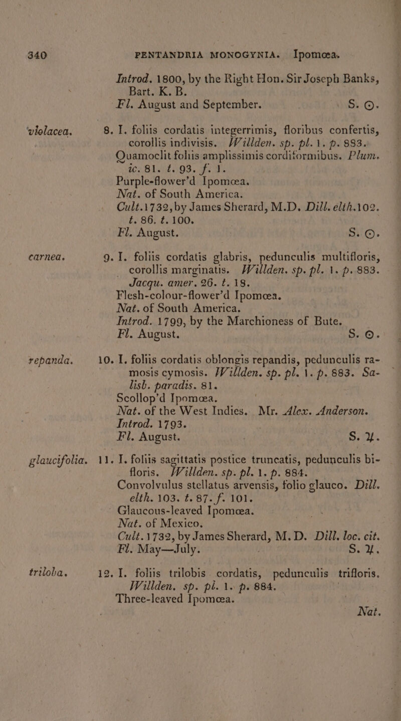 ‘violacea. carnea. repanda. triloba. Introd. 1800, by the Right Hon. Sir Joseph Banks, Bart. K. B. Fi, August and September. Ss. ©. corollis indivisis. Waillden. sp. pl.1. p. 883. Quamoclit foliis amplissimis cordiformibus. Plum. C2 BAsid 503. o0 2% Purple-flower’d Ipomcea. Nat. of South America. Cult.1732,by James Sherard, M.D. Dill. elih.102. é. 86. ¢.100. _ corollis marginatis. Willden. sp. pl. 1. p 883. Jacqu. amer. 26. t. 18. Flesh-colour-flower’d Ipomeea. Nat. of South America. Introd. 1799, by the Marchioness of Bute. Fi. August. Se. I. foliis cordatis oblongis repandis, Pecans ra- mosis cymosis. Willden. sp. pl. \. p. 883. Sa- lish. paradis. 81. Scollop’d Ipomea. | Nat. of the West Indies. Mr. Alex. Anderson. Introd. 1793. | Fl. August. : S. i. floris. Willden. sp: pl. 1. p. 884. Convolvulus stellatus arvensis, folio glauco. Dill. elth. 103. t. 87. f. 101. Glaucous-leaved Ipomecea. Nat. of Mexico. Cult. 1732, by James Sherard, M.D. Dill. loc. cit. Fi. May—July. OUDSL AY. Willden. sp. pl. 1s p. 884. Nat.