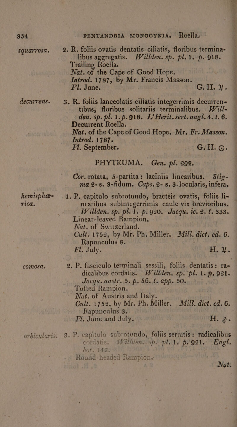 Squarrosa. decurrens. hemisphe- FICE. comosa. PENTANDRIA MONOGYNIA. Roella. libus aggregatis. Willden. sp. pl.i. p. 918. Trailing Roella. Nat. of the Cape of Good Hope. Introd. 1787, by Mr. Francis Masson. Fl, June. G.H. i. tibus, floribus solitariis terminalibus. Wiil- den. sp. pl. 1.p.918. L’ Herit. sert.angl.4. t. 6. Decurrent Roella. Nat. of the Cape of Good Hope. Mr. Fr. Masson. Introd. 1787. Fl. September. GSH. ©. PHYTEUMA. Gen. pl. 292. Cor. rotata, 5-partita: laciniis linearibus. Stig- ma 2-8. 3-fidum. Caps. 2- s. 3-locularis, infera. nearibus subintegerrimis caule vix brevioribus. Willden. sp. pl... p.920. eet 1c. 2. t. 333. Linear-leaved Rampion. Nat. of Switzerland. Cult. 1752, by Mr. Ph. Miller. Mull. dict. ed. 6. Rapunculus 8. Fi. July. H. ¥. dicalibus cordatis. Wilden. sp. ‘pl. 1. p. 921. Jacgu. austr. 5. p. 56. t. app. 50. Tufted Rampion. | Nat. of Austria and Italy. | Cult. :752, by Mr. Ph. Miller. Mill. dict. ed. 6. Rapunculus 3. Fl, June and July. | H. 3. cordatis. Waillden..sp. pl... p.'921.° “Engl. bot. 142. Round-hea ade d Rampion. Nat: