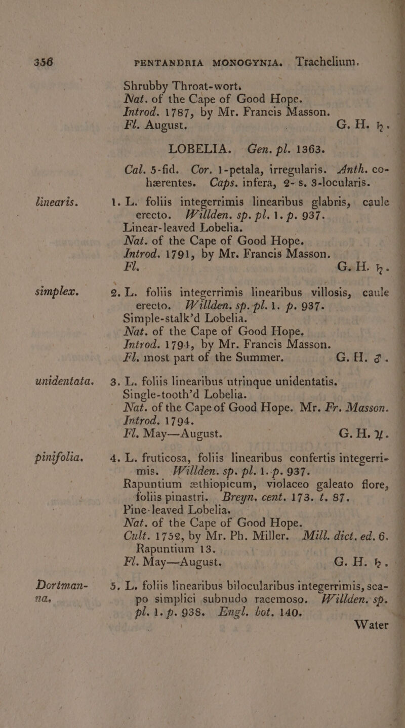 linearis. simplex. pinifolia. Dortman- Shrubby Throat-wort, Nat. of the Cape of Good Hope. Introd. 1787, by Mr. Francis Masson. Fi. August. | LOBELIA. Gen. pl. 1363. Cal. 5-fid. Cor. 1-petala, irregularis. nth. co- herentes. Caps. infera, 2-s. 3-locularis. Teal erecto. Willden. sp. pl. 1. p. 937. Linear-leaved Lobelia. : Nai. of the Cape of Good Hope. Introd. 1791, by Mr. Francis Masson. erecto. Wallden. sp..pl.i. p. 937. Simple-stalk’d Lobelia. Nat. of the Cape of Good Hope. Introd. 1794, by Mr. Francis Masson. Fl, most part of the Summer. G.H. ?. 3. L. foliis linearibus utrinque unidentatis. Single-tooth’d Lobelia. Nat. of the Cape of Good Hope. Mr. Fr. Masson. Introd. 1794. Fl, May—August. o 4H. Ye 4. L. fruticosa, foliis linearibus confertis integerri- mis. Willden. sp. pl. 1.-p. 937. Rapuntium ethiopicum, violaceo galeato flore, folns pinastri. Breyn, cent. 173. t. 87. Pine-leaved Lobelia. Nat. of the Cape of Good Hope. Cult. 1752, by Mr. Ph. Miller. Muli. dict. ed. 6. Rapuntium 13. | Fi, May—August. G. H..b. | 5, L, foliis linearibus bilocularibus integerrimis, sca- po simplici subnudo racemoso. Willden. sp. pl.1.p. 938. Engl. bot. 140. . | Water ee Py ee ee” ; , ¢ ;