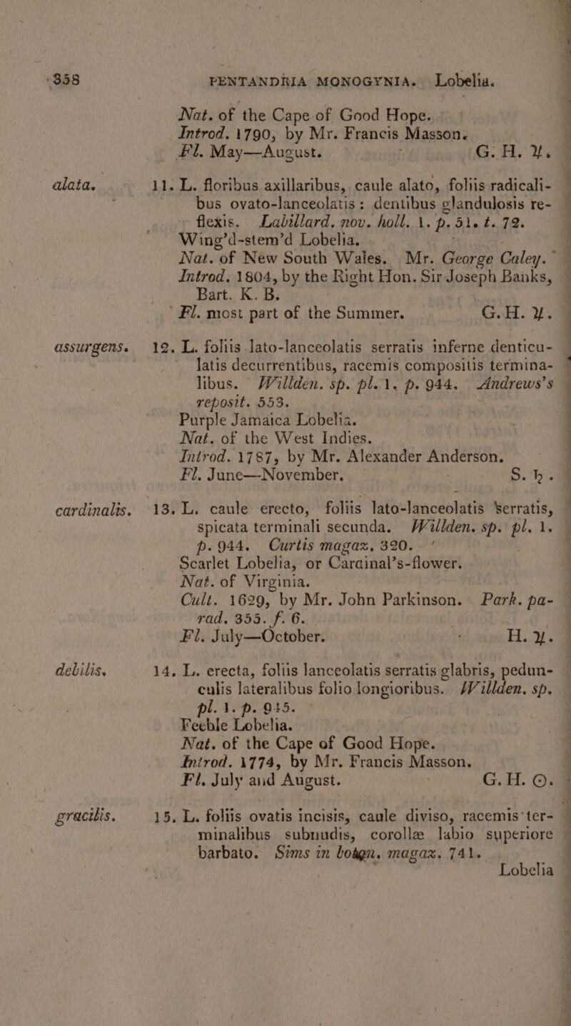 $58 alata. debilis. gracilis. PENTANDRIA MONOGYNIA. Lobelia. Nat. of the Cape of Good Hope. Introd. 1790, by Mr. Francis Masson. L. floribus axillaribus, caule alato, foliis radicali- bus ovato-lanceolatis: dentibus glandulosis re- flexis. Ladillard. nov. holl. 1. p. Sie t. 72. Wing’d-stem’d Lobelia. Introd, 1804, by the Right Hon. Sir Joseph Banks, Bart. K. B. L. foliis lato-lanceolatis serratis inferne denticu- latis decurrentibus, racemis compositis termina- libus. Willden. sp. pl. 1. p. 944, Andrews’s reposit. 553. &gt; Purple Jamaica Lobelia. Nat. of the West Indies. Introd. 1787, by Mr. Alexander Anderson. Fl, Jane—November, 5. be wa a ee a a ee oe Se a” ua ee ee ee a spicata terminali secunda. Willden. sp. gi 1. p. 944. Curtis magaz, 320. ’ Scarlet Lobelia, or Carainal’s-flower. Nat. of Virginia. rad. 355. f. 6. | Fl. July—October. } pe Be) L. erecta, foliis lanceolatis serratis glabris, pedun- culis lateralibus folio longioribus. Waillden. sp. pl. i. p. 945. Feeble Lobelia. Nat. of the Cape of Good Hope. Enirod. 1774, by Mr. Francis Masson. Fil. July aud August. G.H. ©. L. foliis ovatis incisis, caule diviso, racemis ter- minalibus subnudis, corolle labio syperiore barbato. Sims in botgn. magax. 741. sat