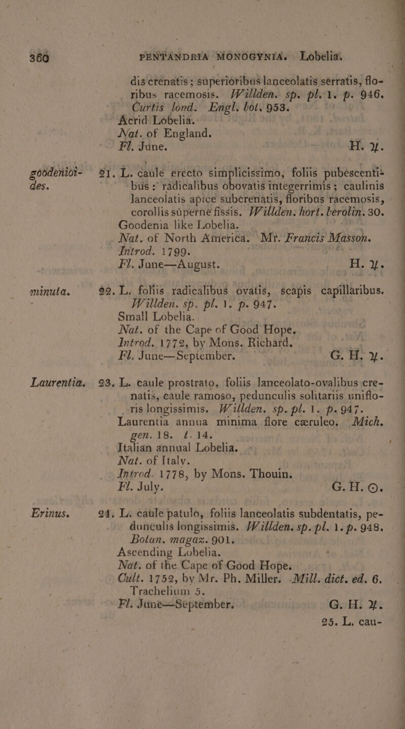 goodenioz- des. minulda. Laurentia. Erinus. dis crenatis ; superioribus lanceolatis serratis, flo- ribus racemosis. Wallden. sp. pl. il. p. 946. Curtis lond. ieee You 953. Acrid Lobelia. Nat. of England. | : Fl, June. H. y. bus :° radicalibus obovatis integerrimis ; caulinis lanceolatis apice suberenatis, floribas racemosis, corollis siperne fissis. Willden. hort. berolin. 30. Goodenia like Lobelia. . Nat. of North America. Mr. Francis Masson. Introd. 1799. ait Fl. Jane—August. H. Y. Willden. sp. pl.\. p. 947. Small Lobelia. Nat. of the Cape of Good Hope. Introd. 1772, by Mons. Richard. ty Fl. June—September. G. H. y. natis, caule ramoso, pedunculis solitariis uniflo- ris longissimis. Wilden. Sp. pl. 1. ps 947. Laurentia annua minima flore ceruleo. Mich. gen. eS Re a Be Italian annual Lobelia. Nat. of Italy. Introd. 1778, by Mons. Thouin. Fi. July. SiOx Botan. magaz. 901. Ascending Lobelia. Nat. of the Cape of Good Hope. Cult. 1752, by Mr. Ph. Miller. Mill. dict. ed. 6. Trachelium 5. Fl. June—September. GoHt we 25. L, cau-