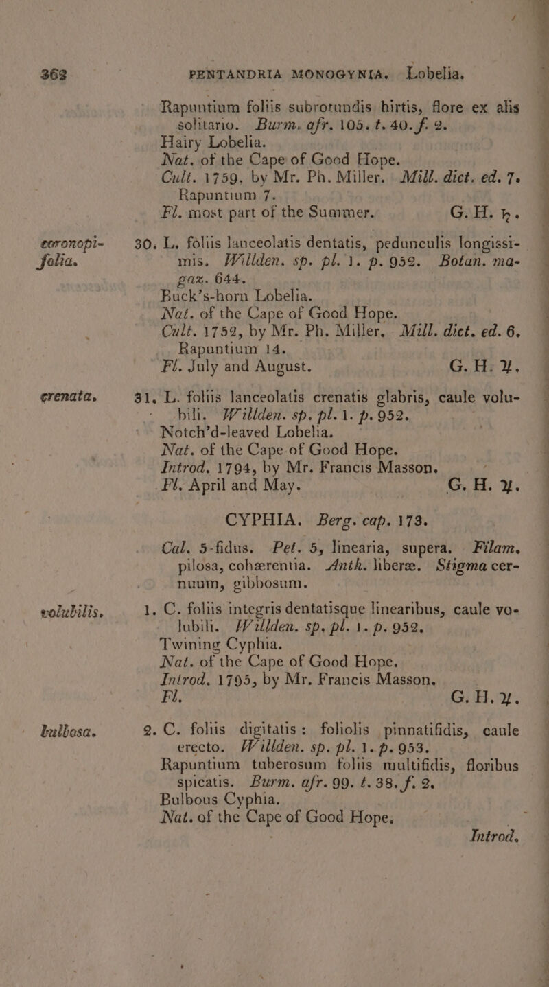 363 earonopi~ folia. crenata. volubilis. butbosa. PENTANDRIA MONOGYNIA. Lobelia. Rapuntium foliis subrorundis. hirtis, flore ex alis solitano. Burm. afr. 105. t.40.f. 2. Hairy Lobelia. . Nat. of the Cape of Good Hope. Cult. 1759, by Mr. Ph. Miller. Mill. dict. ed. 7. Rapuntium 7. Fi. most part of the Summer. G.H. bh. mis. Wiliden. sp. pl. 1. p.952. Botan. ma- gaz. 644, Buck’s-horn Lobelia. Nat. of the Cape of Good Hope. Cult. 1752, by Mr. Ph. Miller, Mill. dict. ed. 6. Rapuntium 14. Fl. July and August. ts. te 2, bili. Willden. sp. pl... p.952. Notch’d-leaved Lobelia. Nat. of the Cape of Good Hope. Introd. 1794, by Mr. Francis Masson. / Fl, April and May. G, i. 2, CYPHIA. Berg. cap. 173. Cal. 5-fidus. Pet. 5, linearia, supera. Filam, pilosa, cohzrentia. dnth. bere. Stigma cer- nuum, gibbosum. lubili. Wallden. sp, pl. 1. p. 952. Twining Cyphia. Nat. of the Cape of Good Hope. Introd. 1795, by Mr. Francis Masson. Fil. G. H. ¥. erecto. Waillden. sp. pl. 1. p. 953. Rapuntium tuberosum foliis multifidis, floribus spicatis. Burm. afr. 99. t. 38. f. 2. Bulbous Cyphia. Nat. of the Cape of Good Hope. R — ve ee oe * ee ee ee ee ee ee ae ee ae a See ee Se ee ee