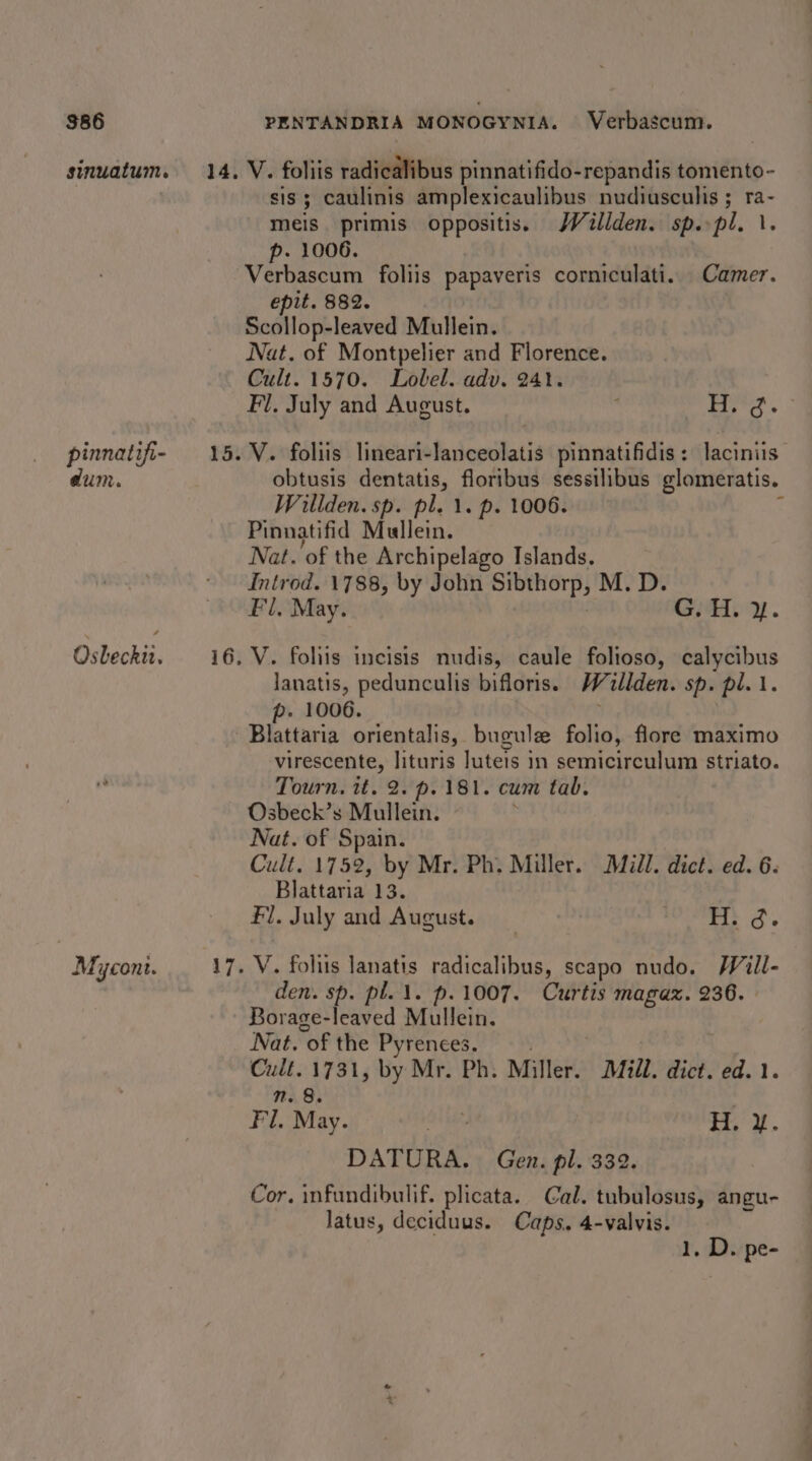 $86 sinuatum. pinnatifi- @um. Osbecki. Miycont. 14, PENTANDRIA MONOGYNIA. Verbascum. V. foliis radicalibus pinnatifido-repandis tomento- sis; caulinis amplexicaulibus nudiusculis ; io meis primis oppositis. WWVillden. sp. pl. \ p- 1006. Verbascum foliis papaveris corniculati. Camer. epit. 882. Scollop-leaved Mullein. Nat. of Montpelier and Florence. Cult. 1570. Lolel. adv. 241. Fl, July and August. ; Saree V. foliis lineari-lanceolatis pinnatifidis: laciniis obtusis dentatis, floribus sessilibus glomeratis. Willden. sp. pl. 1. p. 1006. : Pinnatifid Mullein. Nat. of the Archipelago Islands. Introd. 1788, by John Sibthorp, M.D. Fl, May. Gis y. lanatis, pedunculis bifloris. Willden. sp. pl. 1. p. 1006. virescente, lituris luteis in semicirculum striato. Tourn, tt. 2. p. 181. cum tab. Osbeck’s Mullein. Nat. of Spain. Cult. 1752, by Mr. Ph. Miller. Mill. dict. ed. 6. Blattaria 13. Fl. July and August. io hae ye te lanatis radicalibus, scapo nudo. Will- den. sp. pl. 1. p.1007. Curtis magaz. 236. Borage-leaved Mullein. Nat. of the Pyrenees. Cult. 1731, by Mr. Ph. Miller. Mill. dict. ed. 1. n. 8. Fl. May. HB, i, 2. DATURA. Gen. pl. 332. Cor. infundibulif. plicata. Cal. tubulosus, angu- Jatus, deciduus. Caps. 4-valvis. 1. D. pe-