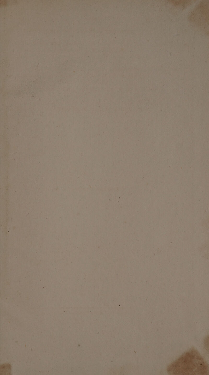 ca ~ 4 ‘ . ¢ - . se $ “ \ ©. 3 . * - ‘ Fe 1 \ 4. sf ‘ . . - . E i - 4 . ‘ 7 . ry, ) * j \ ¢ : ‘ t , i \ . v3 ‘ e ie » : - - ’ = : ‘  r : M4 ; ‘ . . hk r : ‘ a