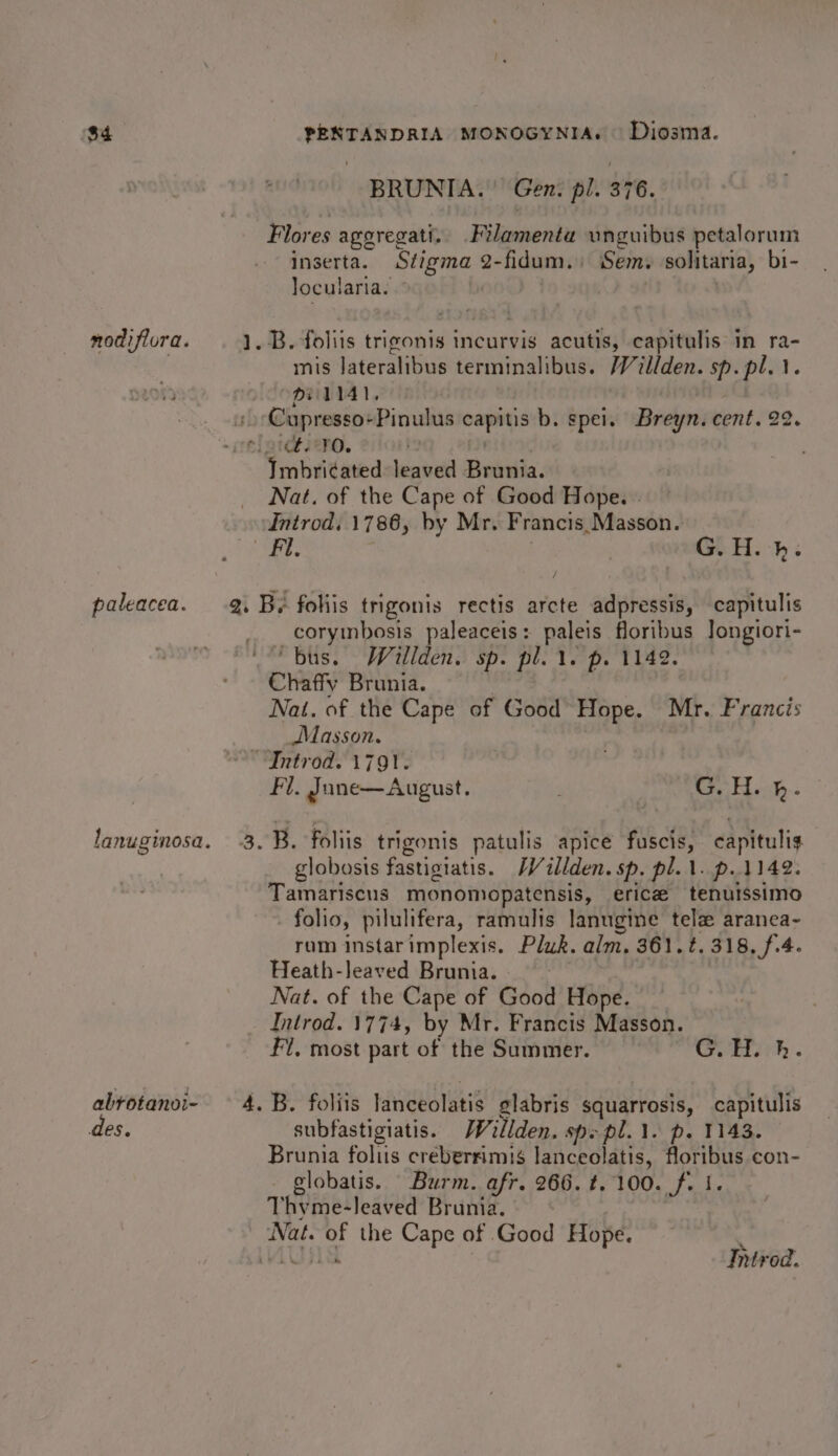 $4 modi flora. paleacea. abrotanvi- des. PENTANDRIA MONOGYNIA. Diosma. BRUNIA.’ Gen: pl. 376. Flores aggregati.. Filamenta unguibus petalorum inserta. Stigma 2-fidum.) Sem. solitaria, bi- locularia. ~ | mis lateralibus terminalibus. /Villden. sp. pl. 1. Di ; 1 14 ] ‘ : Cupresso+Pinulus capitis b. spel. Breyn. cent. 22. Imbri¢ated leaved Brunia. Nat. of the Cape of Good Hope. . Introd, 1786, by Mr. Francis.Masson. | , GLH. -}; corymbosis paleaceis: paleis floribus Jongiori- ‘bus. Willden. sp. pl. \. p. 1142. Chaffy Brunia. | Nati. of the Cape of Good Hope. Mr. Francis Masson. Fil. June—August. ’ “GoHwh: globosis fastigiatis. JV illden. sp. pl. 1. p.1142. Tamariscus monomopatensis, erica tenuissimo folio, pilulifera, ramulis lanugine tele aranea- rum instarimplexis. Pluk. alm, 361. ¢. 318, f.4. Heath-leaved Brunia. » é Nat. of the Cape of Good Hope. Introd. 1774, by Mr. Francis Masson. Fl, most part of the Summer. G.H. kh. subfastigiatis. JWillden. sp pl... p. 1143. Brunia foliis créberrimis lanceolatis, floribus con- globatis. Burm. afr. 266. ¢. 100. f. I. Thyme-leaved Brunia. Nat. of the Cape of Good Hope. ; WAU Introd.