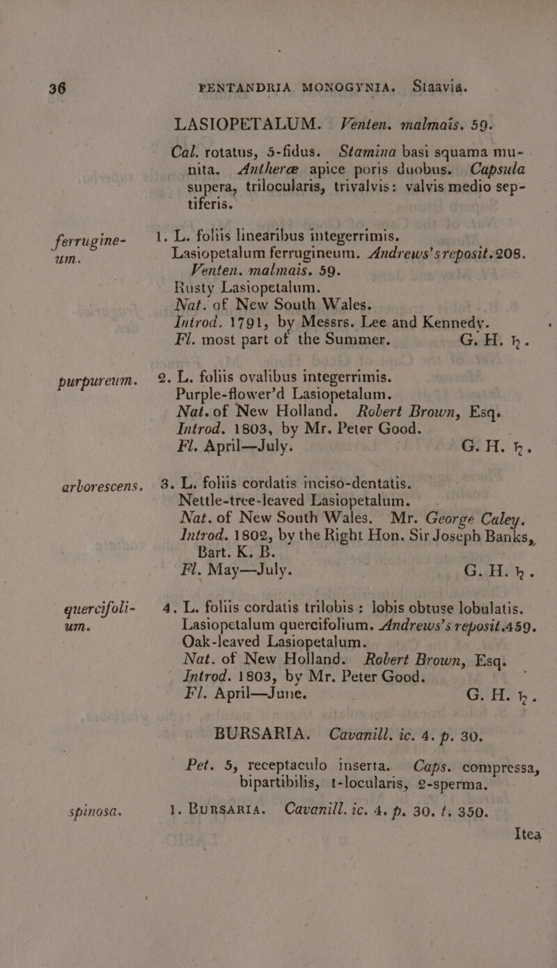 ferrugine- “um. quercifoli- UM. spinosa. ~— LASIOPETALUM. Venten. malmais. 59. Cal. rotatus, 5-fidus. Stamina basi squama mu- nita. Anthere apice poris duobus. Capsule supera, trilocularis, trivalvis: valvis medio sep- tiferis. Lasiopetalum ferrugineum. Andrews’sreposit.208. Venten. malmais. 59. Rusty Lasiopetalum. Nat. of New South Wales. Introd. 1791, by Messrs. Lee and Kennedy. Fl. most part of the Summer, G. H. b. Purple-flower’d Lasiopetalum. Nat.of New Holland. Robert Brown, Esq. Introd. 1803, by Mr. Peter Good. Fl. April—July. G. HH. kh. Nettle-tree-leaved Lasiopetalum. Nat. of New South Wales. Mr. George Caley. Introd. 1802, by the Right Hon. Sir Joseph Banks, Bart. K. B. 3 Fl, May—July. G. H.k. Lasiopetalum quercifolium. Andrews’s reposit.459. Oak-leaved Lasiopetalum. Nat. of New Holland. Robert Brown, Esq. Fl. April—June. Gy |. BURSARIA. Cavanill. ic. 4. p. 30. Pet. 5, receptaculo inserta. Caps. compressa, bipartibilis, t-locularis, 2-sperma. Bursaria. Cavanill.ic. 4. p, 30. t. 350. Itea
