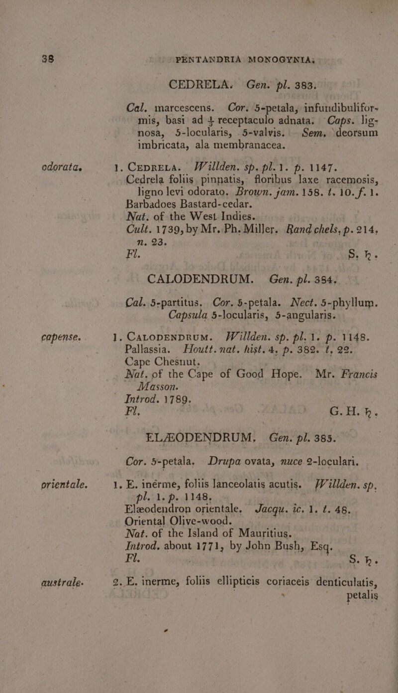 odorata. capense. australe. &gt; nt ot _CEDRELA. Gen. pl. 383. Cal. marcescens. Cor. 5-petala, infundibulifor- mis, basi ad 4 receptaculo adnata. ‘Caps. lig- nosa, 5-locularis, 5-valvis. Sem. \deorsum imbricata, ala membranacea. Cedrela foliis pinpatis, floribus laxe racemosis, ligno levi odorato. Brown. jam. 158. t. 10. f. 1. Barbadoes Bastard-cedar. Nat. of the West Indies. Cult. 1739, by Mr. Ph. Miller. Rand chels, p. 214, 1. 23. Fl. S. h. CALODENDRUM. Gen. pl. 384. Cal. 5-partitus, Cor. 5-petala. Nect. 5-phyllum. Capsula 5-locularis, 5-angularis. Pallassia. Houtt. nat. hist. 4, p. 382. t, 22. Cape Chesnut. Nat. of the Cape of Good Hope. Mr. Francis Masson. G.H. hk. _~ELAZODENDRUM. Gen. pl. 385. Cor. 5-petala, Drupa ovata, nuce 2-loculari. pl. 1. p. 1148,» Elzodendron orientale, Jacqu. oe bok, Oriental Olive-wood. ' Nat. of the Island of Mauritius. Introd, about 1771, by Jobn Bush, Esq. Fil. B. he petalis