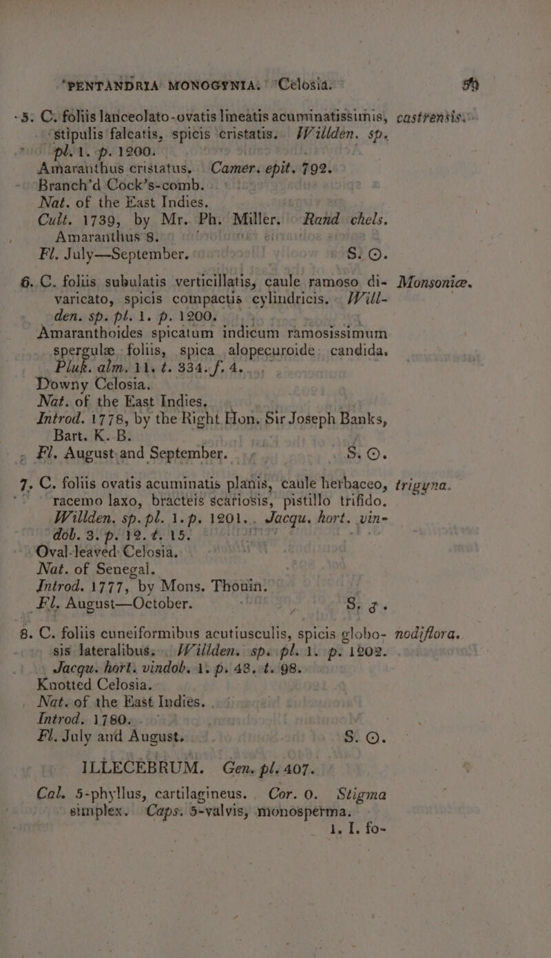 ‘PENTANDRIA MONOGYNIA, ‘Celosia. fy - 5. Cy foliis lanceolato-ovatis lineatis gem ne ty cast¥ensis.” ‘stipulis falcatis, spicis cristatis. Witlden. sp. “pl. i. p. 1200. | ita idk cristatus. Caieies shit 792. Branch’d Cock’s-comb. Nat. of the East rida Cult. 1739, by Mr. Ph. Miller. Rand chels, Amaranthus 8. © | . Fl, July—September. ; S. ©. 6..C. foliis subulatis verticillatis, caule ramoso di- Monsonie. varicato, spicis compactis cylindricis. § Will- den. sp. pt. 1. p.1200. + Amaranthoides spicatum indicum ramosissimum spergulz foliis, spica alopecuroide; candida. Pluk alm, 11. t. 334. f. 4. Downy Celosia. Nat. of the East Indies. Introd. 1778, by the Right Hon, Sir Joseph Banks, Bart. K. B. . Fl, August.and September. ,, S$. 0. 7. C. foliis ovatis acuminatis planis, caule herbaceo, trigyna. * ~“yacemo laxo, bracteis scariosis, pistillo trifido, ~~ Willden. sp. pl. 1.p. 1201. Seg i hort. vin- dob. 3. p. 12. 4.15. | | Oval-leaved: Celosia. Nat. of Senegal. Introd. 1777, “by Mons. Thouin. . i. August—October. : Se gi 8. C. foliis cuneiformibus acutiusculis, apie olobo- nodiflora. sis lateralibus... Willden. sp. pl..1. p. “1202. Jacgu. hort. vindob. 1. p. 48, t. 98. Knotted Celosia. _ Nat. of the East Indies, | | Introd. 1780. | | Fi, July and August. S. ©. ILLECEBRUM. Gen. pl. 407. Cal. 5-phyllus, cartilagineus. Cor. 0. Stigma simplex. Caps. 5-valvis, monosperma. l. KS fo-