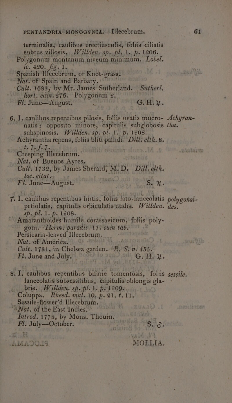 terminalia, caulibus erectiusculis, foltis ciliatis _ subtus vallosis, , Willden. sp. pl.1., p. 1206. Polygonum montanum niveum minimum. Lolel. ic. 420. fig. 1. Spanish Hiecebrum, or Knot-grass. Nat. of Spain and Barbary. | ‘Cult. 1683, by Mr. James Sutherland. Suther?. hort. edin. 276. Polygonum 2. . Fl, June—August, “ Uri: Y.. 6.1. caulibus repentibus pilosis, foliis ovatis mucro- Achyran- ~ natis: opposito minore, capitulis subglobosis tha. subspinosis. Willden. sp. pl. V. p. 1208. eer repens, foliis bliti sys Dill. elth. 8. 7-f.7. Gicelts Ilecebrum. Nat. of Buenos Ayres. Cult. 1732, by James Sherard, M. D. Dill. elth. loc. citat.. Bor i Jane—Ausust, ce re ‘'s S. Y. 7. I. emits repentibus hirtis, ‘foliis lato-lanceolatis poly gonsi- petio aeies capitulis orbichlatis nudis. Willden. des. sp. pl. 1. p. 1208. Amaranthoides humile corassavicum, foltis poly- “Herm. paradis. 17. cum tab. badtasa- leaved Illecebrum. Nat. of America. Aid Cult. 1731, in Chelsea garden. oR. Sin: 455. Fl, June and a G: H,. i. 8.1. caulibus repentibus bifarie — ‘tomentosis, Beliis sessile. lanceolatis subsessilibus, . capitulis’ oblongis gla- bris. Willden. sp. pl. i. ps 1209. . ~ Coluppa. Rheed. mal..10. p. 21. t.11. Sessile-flower’d ilecebram. “SNat. of the East Indies. Introd. 1778, by Mons. hauieee: er pner ‘Fi. |. July—October. ee Ves id) LAMADOIG | MORLIA. ©.”