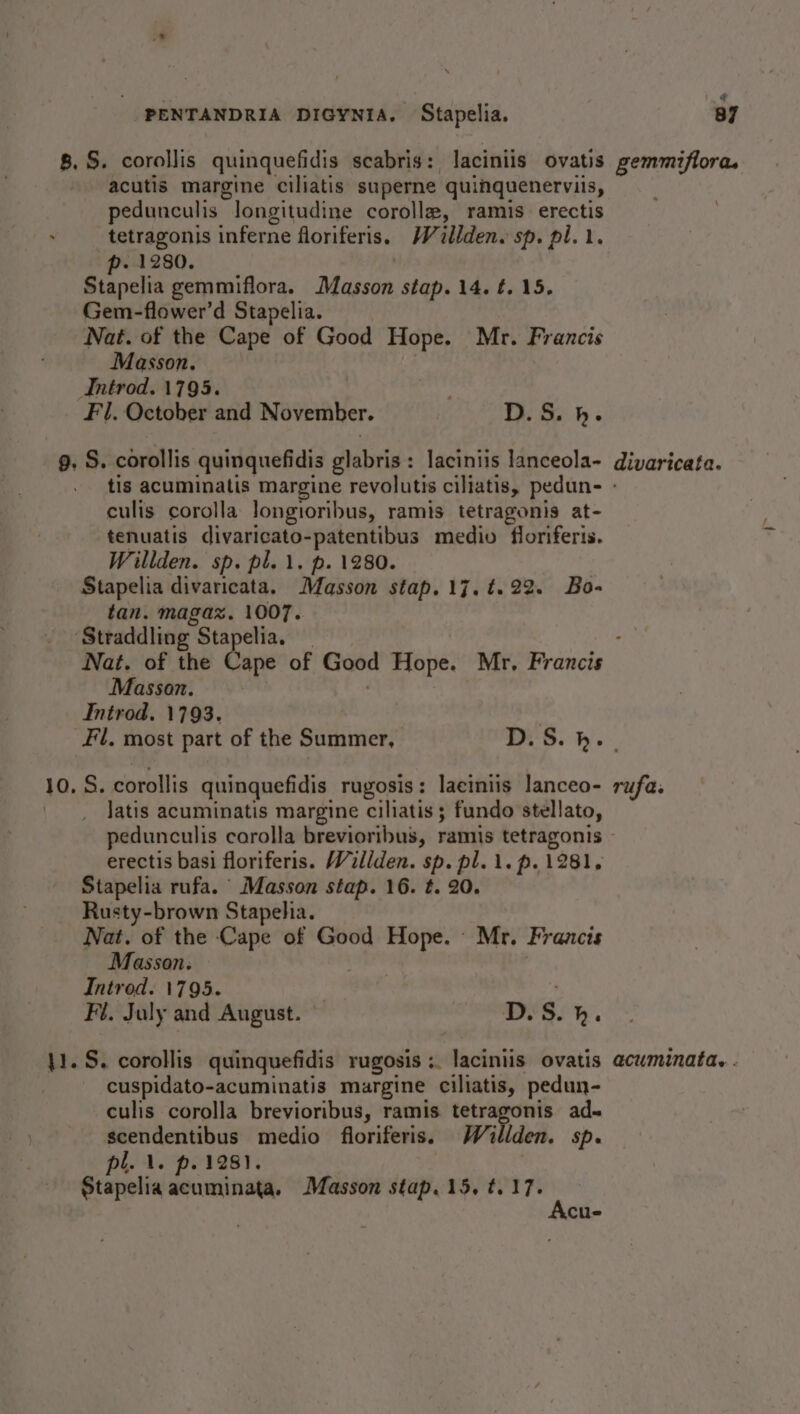 8.§. corollis quinquefidis scabris: laciniis ovatis acutis margine ciliatis superne quinquenerviis, pedunculis longitudine coroll#, ramis_ erectis tetragonis inferne floriferis. Willden. sp. pl. 1. p. 1280. | Stapelia gemmiflora. Masson stap. 14. t. 15. Gem-flower’d Stapelia. Nat. of the Cape of Good Hope. Mr. Francis Masson. Introd. 1795. | | FI. October and November. D.5S. h. 9, S. corollis quinquefidis glabris: laciniis lanceola- “ gemmiflora. divaricata. culis corolla longioribus, ramis tetragonis at- tenuatis divaricato-patentibus medio floriferis. Willden. sp. pl. 1. p. 1280. Stapelia divaricata. Masson stap.17,t.22. Bo- tan. magaz. 1007. ‘Straddling Stapelia. Masson. Introd. 1793. 10, S. corollis quinquefidis rugosis: laeiniis lanceo- Jatis acuminatis margine ciliatis ; fundo stellato, pedunculis corolla brevioribus, ramis tetragonis erectis basi floriferis. Willden. sp. pl. 1. p. 1281, Stapelia rufa. Masson stap. 16. t. 20. Rusty-brown Stapelia. Nat. of the Cape of Good Hope. Mr. Francis Masson. ' Introd. 1795. Fl. July and August. © D.S. h. 11. S. corollis quinquefidis rugosis ;. laciniis ovatis cuspidato-acuminatis muargine ciliatis, pedun- culis corolla brevioribus, ramis tetragonis ad- scendentibus medio floriferis, Willden. sp. pl. 1. p. 1281. | Stapelia acuminata, Masson stap. 15. t. oe cus rufa. acuminata. -