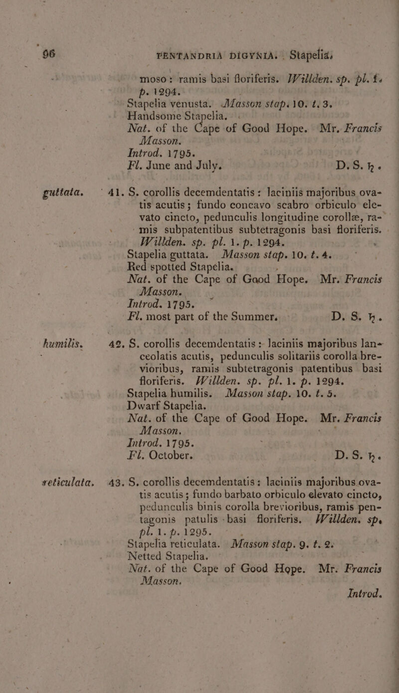 moso: ramis basi floriferis. Wilden. sp. pl. i. p. 1294. ’ Stapelia venusta. Masson stap.10. t. 3. Handsome Stapelia. Nat. of the Cape of Good Hope. Mr, Francis Masson. 24 Introd. 1795. Fil. June and July. D.S.h.« guttata. 41.8. corollis decemdentatis : laciniis majoribus ova- tis acutis ; fundo concavo scabro orbiculo ele- vato cincto, pedunculis longitudine corolle, ra- “mis subpatentibus subtetragonis basi floriferis. | Willden. sp. pl. \. p. 1294. Stapelia guttata. Masson stap. 10. t. 4. Red spotted Stapelia. Nat. of the Cape of Gaod Hope. Mr. Francis Masson. ‘ Introd. 1795. Fil. most part of the Summer. | D. S. h. humilis. 42. S. corollis decemdentatis :- laciniis majoribus lan~ ceolatis acutis, pedunculis solitariis corolla bre- vioribus, ramis subtetragonis patentibus basi floriferis. Waillden. sp. pl. 1. p. 1294. Stapelia humilis. Masson stap. 10. t. 5. Dwarf Stapelia. | Nat. of the Cape of Good daa Mr. Francis _ Masson. “ree Introd. 1795. £02 Fil. October. i ghee. veticulata. 43.5. corollis decemdentatis: laciniis majoribus ova- tis acutis; fundo barbato orbiculo elevato cincto, pedunculis binis corolla brevioribus, ramis pen- tagonis patulis -basi floriferis, Wellden. sp. 6b T.p. 4205; A Stapelia reticulata. Masson stap. 9. t. 2 Netted Stapelia. | Nat. of the Cape of Good Hope. Mr. Francis Masson. Introd.