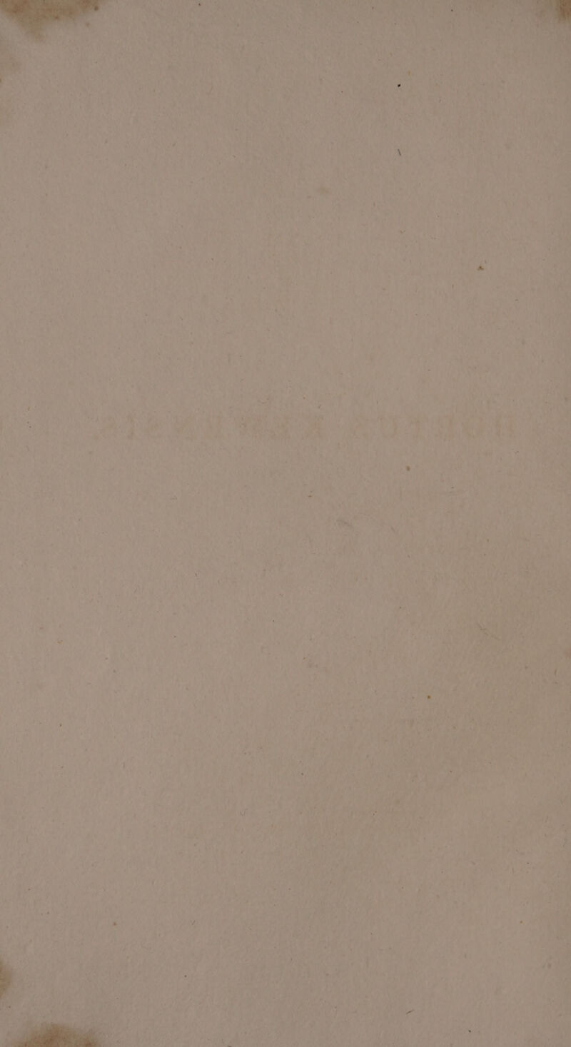 4 i i oF im fei’, \ A a Rae ' i Ly ae VE ‘ 4 7 Se ; : : \s aa Rae hae