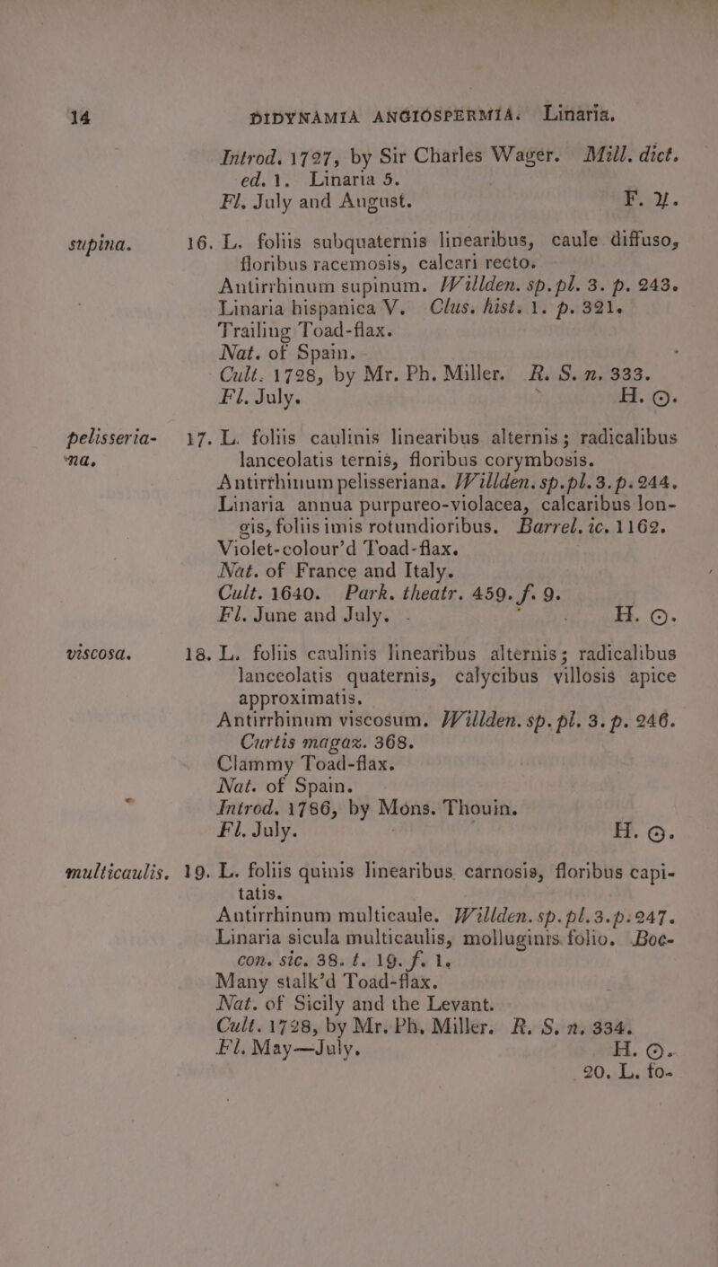 ‘a. Introd. 1727, by Sir Charles Wager. Mill. dict. ed 12. Linarta &amp;. Fil, July and August. F. i. L. foliis subquaternis linearibus, caule diffuso, floribus racemosis, calcari recto. Antirrhinum supinum. Waillden. sp. pl. 3. p. 243. Linaria hispanica V. Clus. hist. 1. p. 321. Trailing Toad-flax. Nat. of Spain. Cult. 1728, by Mr. Ph. Miller. 2. S. 2, 333. Fl, July. ; H. ©. L. foliis caulinis linearibus alternis; radicalibus lanceolatis ternis, floribus corymbosis. Antirthinum pelisseriana. Willden. sp.pl.3.p.244. Linaria annua purpureo-violacea, calcaribus lon- ois, foliisimis rotundioribus, Barrel, ic. 1162. Violet-colour’d Toad-flax. Nat. of France and Italy. Cult. 1640. Park. theatr. 459. f. 9. Fil. June and July. - ‘ H. ©. L. foliis caulinis linearibus alternis; radicalibus lanceolatis quaternis, calycibus yillosis apice approximatis. : Antirrhinum viscosum, Wilden. sp. pl. 3. p. 246. Curtis magaz. 368. Clammy Toad-flax. Nat. of Spain. Inirod, 1786, by Mons. Thouin. Fil. July. H. ©. L. foliis quinis linearibus carnosis, floribus capi- tatis. Antirrhinum multicaule. Willden. sp. pl.3.p.247. Linaria sicula multicaulis, molluginis. folio. .Boc- con. sic. 38. t. 19. fa 1. Many stalk’d Toad-flax. Nat. of Sicily and the Levant. Cult. 1728, by Mr. Ph, Miller. R. S. 2. 334. El, May—July. H. ©. 20. L. fo-