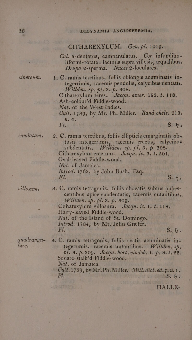 cinereum. caudaium. villosum. guadrangu- fare, ture CITHAREXYLUM. Gen. pl. 1019. Cal. 5-dentatus, campanulatus. Cor. infundibu- liformi-rotata: laciniis supra villosis, sequalibus. Drupa 2-sperma. Nuces 2-loculares. tegerrimis, racemis pendulis, calycibus dentatis. Willden. sp. pl. 3. p. 308. Citharexylum teres. Jacqu. amer. 185. t. 118. Ash-colour’d Fiddle-wood. | Nat. of the West Indies. : Cult. 1739, by Mr. Ph. Miller. Rand chels. 213. 1. 4. Fi, S. hk. tusis integerrimis, racemis erectis, calycibus— subdentatis. Waillden. sp. pl. 3. p. 308. Citharexylum erectum. Jacqu. ic. 3. ¢. 501. Oval-leaved Fiddle- wood, Nat. of Jamaica. Introd. 1763, by John Bush, Esq. . Fi, S.h,. centibus apice subdentatis, racemis nutantibus,. Willden. sp. pl. 3. p. 309- Citharexylum villosum. Jacqu. ic. 1. t. 118. Hairy-leaved Fiddle-wood. Nat. of the Island of St. Domingo. Introd. 1784, by Mr. John Greefer. Fi. Sih. C. ramis tetragonis, foliis ovatis acuminatis in- tegerrimis, racemis nutantibus. Wéillden. sp. pl. 3. p.309. Jacqu. hort. vindob. 1. p. 8. ¢. 22. Square-stalk’d Fiddle- wood. Nat. of Jamaica. Cult.1759, by Mr. Ph. Miller, Mill. dict.ed. 7.2.1. Fl, | S.h. HALLE-