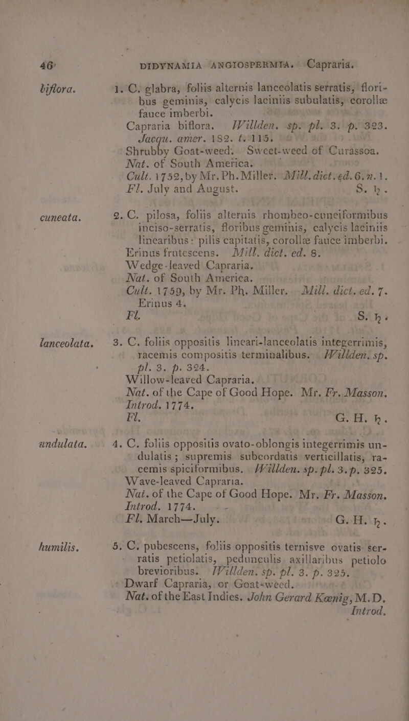 biftora. 1. C. glabra, foliis alternis lanceolatis serratis, flori- bus geminis, calycis laciniis subulatis, coroliz fauce imberbi. | Capraria biflora. Waillden. spo pl. 3) p.323. Jacqu. amer. 182. t.115. © . 'Shrubby Goat-weed. Sweet-weed of Curassoa. Nat. of South America. Sai Cult. 1752, by Mr. Ph. Miller. Dill. dicted. 6.2.1. Fl, July and August. oe oe. cuneata. 2.C. pilosa, foliis alternis rhombeo-cuneiformibus . inciso-serratis, floribus geminis, calycis lacintis linearibus: pilis capitatis, coroliz fauce imberbi. Erinus frutescens. Mill. dict. ed. 8. Wedge-leaved Capraria. Nat. of South America. ; Cult. 1759, by Mr. Ph. Miller... Ddcll. dict..ed. 7. Erinus 4. Fi. . S. h ‘ lanceolata. 3. C. foliis oppositis lineari-lanceolatis integerrimis, racemis compositis terminalibus. HWillden. sp. pl. 3. p. 324. Willow-leaved Capraria. Nat. of the Cape of Good Hope. Mr. Fr. Masson. Introd. 1774. Fl, Goh. undulata. 4, C, foliis oppositis ovato-oblongis integerrimis un- dulatis ; supremis subcordatis: verticillatis, ra- cemis spiciformibus. Willden. sp. pl. 3.p. 325. Wave-leaved Capraria. | Nai. of the Cape of Good Hope. Mr. Fr. Masson. ga ee hy Cee Fl, March—July. G.H. h. humilis. 5. C. pubescens, foliis oppositis ternisve ovatis ser- ratis petiolatis, pedunculis axillaribus petiole brevioribus. /Villden. sp. pl. 3. p. 325. » Dwarf Capraria, or Goat«weed. Nat. of the East Indies. John Gerard Keenig, M.D.