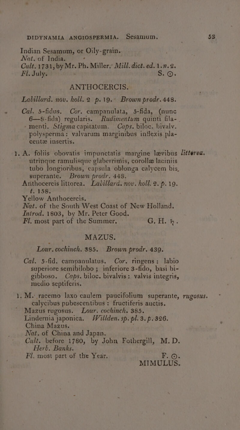 buat ANTHOCERCIS. Lalillard. nov. holl.2 p.19.° Brown prodr. 448. -menti. Stigmacapitatum. Caps. biloc. bivalv. polysperma: valvarum marginibus inflexis pla- centz insertis. utrinque ramulisque glaberrimis, corolla laciniis tubo longioribus, capsula oblonga calycem bis, superante. Brown prodr. 448. Anthocercis littorea. Ladillard. nov. holl. 2. p.19. b. ¥58; Yellow Anthocercis. Nat. of the South West Géasi of New Holland. Introd. 1803, by Mr. Peter Good. Fl, most part of the Summer. Sa Bid MAZUS. Lour. cochinch. 385. Brown prodr. 439. Cal. 5-fid. campanulatus. Cor. ringens: labio superiore semibilobo ; inferiore 3-fido, basi bi- gibboso. Caps. biloc. bivalvis; valvis integris, medio septiferis. calycibus pubescentibus : fructiferis auctis. Mazus rugosus. Lour. cochinch. 385. Lindernia japonica. /Villden. sp. pl. 3. p. 326. China Mazus. Nat. of China and Japan. Cult. before 1780, by John Fothergill, M.D. Herb. Banks. Fl. most part of the Year. F. © MIMULUS. littered. TUZOSUS.