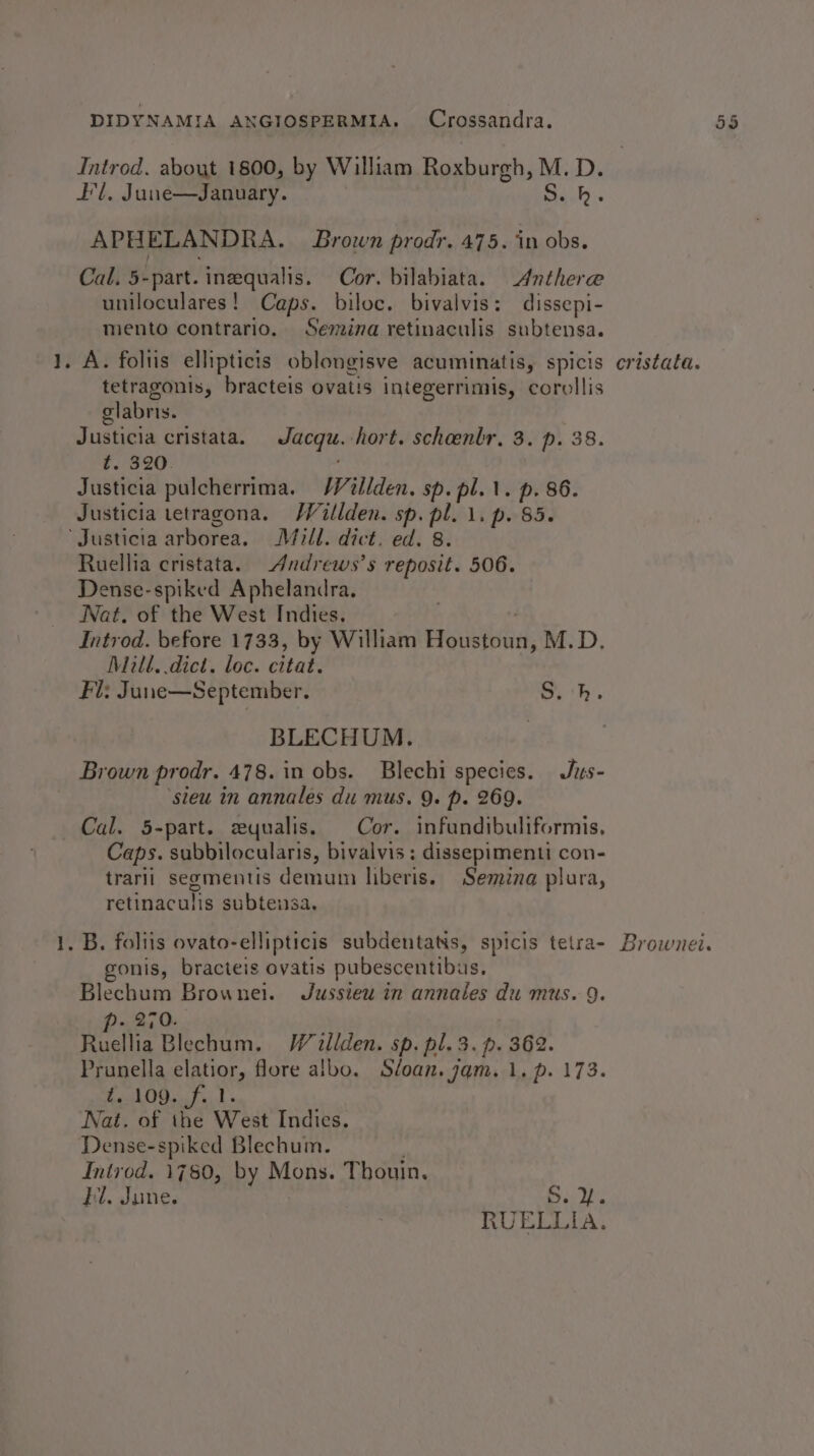 Introd. about 1800, by William Roxburgh, M.D. Fl, June—January. nS APHELANDRA. Brown prodr. 475. in obs. Cal, 5-part. ineequalis. Cor. bilabiata. Anthere uniloculares! Caps. biloc. bivalvis: dissepi- mento contrario. Semina retinaculis subtensa. 1. A. foltis ellipticis oblongisve acuminatis, spicis cristata. tetragonis, bracteis ovatis integerrimis, corollis glabris. Justicia cristata. Jacqu. hort. schaenbr. 3. p. 38. ¢. 320. Justicia pulcherrima. /Willden. sp. pl.\. p. 86. Justicia tetragona. /Villden. sp. pl. 1. p. 85. ‘Justicia arborea. Mill. dict. ed. 8. Ruellia cristata. Andrews’s reposit. 506. Dense-spiked Aphelandra. Nat. of the West Indies. | Introd. before 1733, by William FF oil, M.D. Mull. dict. loc. citat. Fl: June—September. Sh. BLECHUM. Brown prodr. 478. in obs. Blechi species. Jus- ‘seu in annales du mus. 9. p. 269. Cal. 5-part. eqyualis. Cor. infundibwliformis, Caps. subbilocularis, bivalvis ; dissepimenti con- trarii segmentis demum liberis. Semina plura, retinaculis subtensa. 1, B. foliis ovato-ellipticis subdentatis, spicis tetra- Brownei. gonis, bracteis ovatis pubescentibus, Blechum Brownel. Jussieu in annales du mus. 9. p- 270. Ruellia Blechum. Woiliden. sp. pl. 3. p. 362. Prunella elatior, flore aibo. Séoan. jam. 1, p. 173. CMO ts it» Jat. of the West Indies. Dense-spiked Blechum. Introd. 1780, by Mons. Thouin. Hl. June. 6,20. RUELLIA.