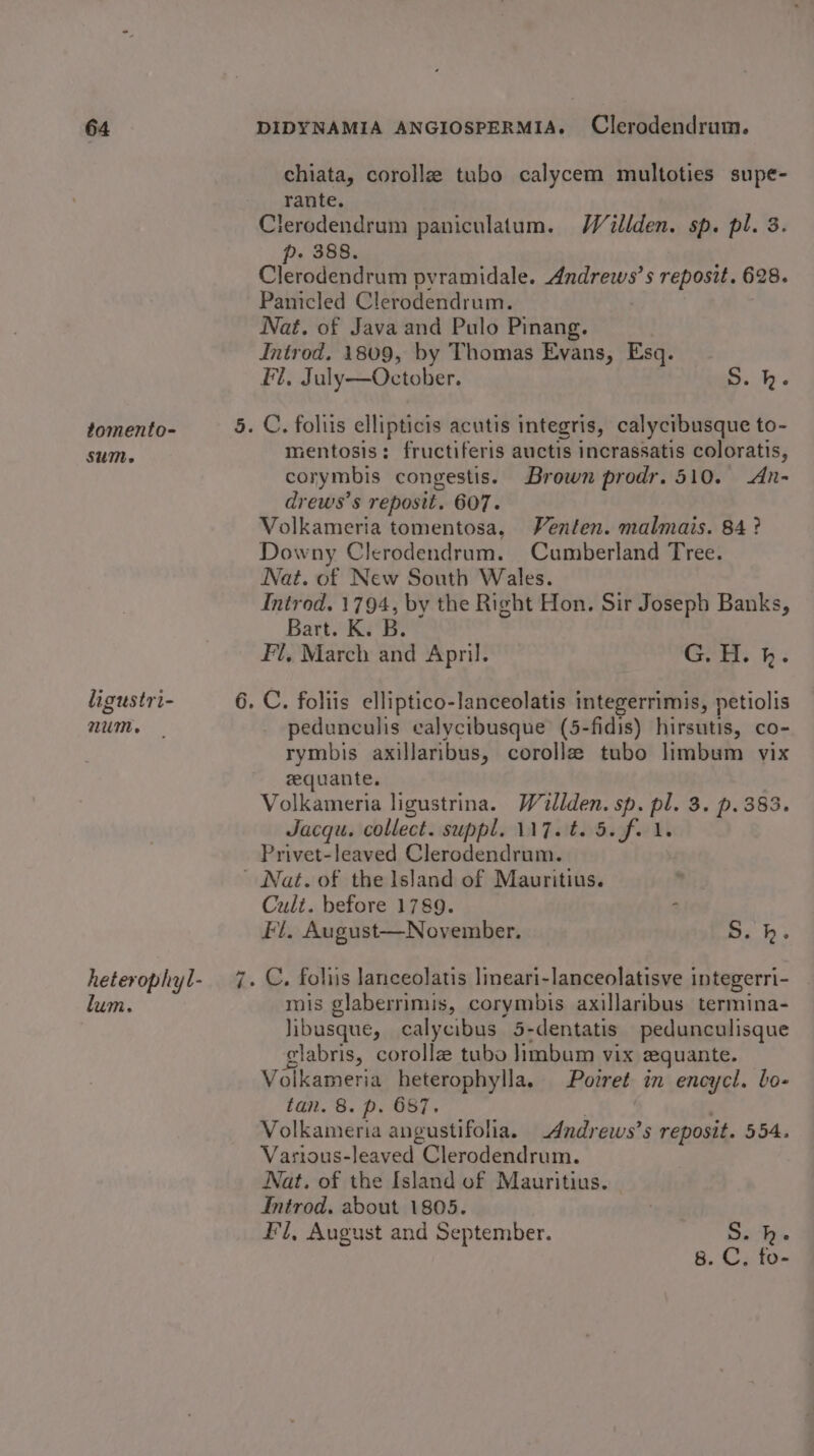 tomento- SUM. ligustri- num. chiata, corollz tubo calycem multoties supe- rante. lerodendrum paniculatum. Wéillden. sp. pl. 3. p. 388. Clerodendrum pyramidale. Hag a s reposit. 628. Panicled Clerodendrum. Nat. of Java and Pulo Pinang. Introd. 1809, by Thomas Evans, Esq. Fl, July—October. S. h. mentosis: fructiferis auctis incrassatis coloratis, corymbis congestis. Brown prodr. 510. An- drews’s reposit. 607. Volkameria tomentosa, Venten. malmais. 84 ? Downy Clerodendrum. Cumberland Tree. Nat. of New South Wales. Introd. 1794, by the Right Hon. Sir Joseph Banks, Bart. K. B. Fl, March and April. aS oo ERs pedunculis calycibusque (5-fidis) hirsutis, co- rymbis axillaribus, corolla tubo limbum vix zquante. Volkameria ligustrina. Waillden. sp. pl. 3. p. 383. Jacqu. collect. suppl. 117. t. 5. f. 1. Privet-leaved Clerodendrum. Cult. before 1789. ‘ Ft. August—November. 5. kh. . C, foliis lanceolatis lineari-lanceolatisve integerri- mis glaberrimis, corymbis axillaribus termina- libusque, c calycibus 5-dentatis pedunculisque glabris, corollz tubo limbum vix equante. Volkameria heterophylla. Potret in encycl. bo- tan. 8. p. 687. Volkameria angustifolia. Andrews’s reposit. 554. Various-leaved Clerodendrum. Nat. of the Island of Mauritius. Introd, about 1805. Fl, August and September.