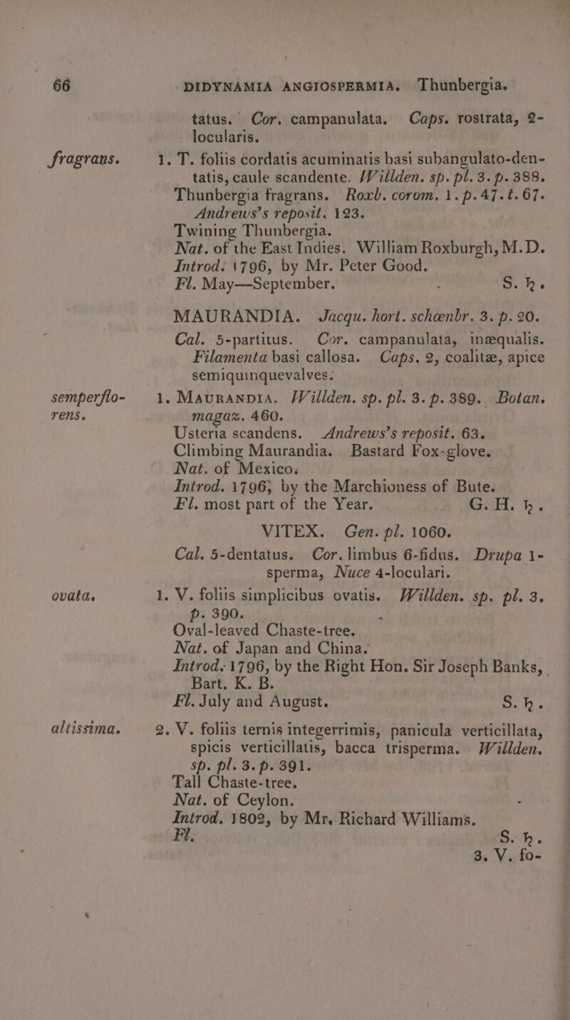 fragrans. semperflo- TENS ovata. altissima. tatus. Cor, campanulata. Caps. rostrata, 2- locularis. tatis, caule scandente. Wilden. sp. pl. 3. p. 388. Thunbergia fragrans. Roxb. corom. 1. p.47.¢. 67. Andrews’s reposit. 123. Twining Thunbergia. Nat. of the East Indies. William Roxburgh, M.D. Introd. 1796, by Mr. Peter Good. Fl. May—September. S. kh. MAURANDIA. Jacqu. hort. scheenbr. 3. p. 20. Cal. 5-partitus. Cor. campanulata, imequalis. Filamenta basi callosa. Caps. 2, coalite, apice semiquinquevalves: magaz. 460. Usteria scandens. Andrews’s reposit. 63. Climbing Maurandia. Bastard Fox-glove. Nat. of Mexico: Introd. 1796, by the Marchioness of Bute. Fl, most part of the Year. G.H. h. VITEX. Gen. pl. 1060. Cal. 5-dentatus. Cor. limbus 6-fidus. Drupa 1- sperma, Nuce 4-loculari. p. 390. Ova!-leaved Chaste-tree. Nat. of Japan and China. Introd 1796, by the Right Hon. Sir Joseph Banks, | Bart. K. B. Fl, July and August. ce, AS spicis verticillatis, bacca trisperma. Wallden. sp. pl. 3. p. 391. Tall Chaste-tree. Nat. of Ceylon. oy 1802, by Mr, Richard Williams. 3. v. fo-
