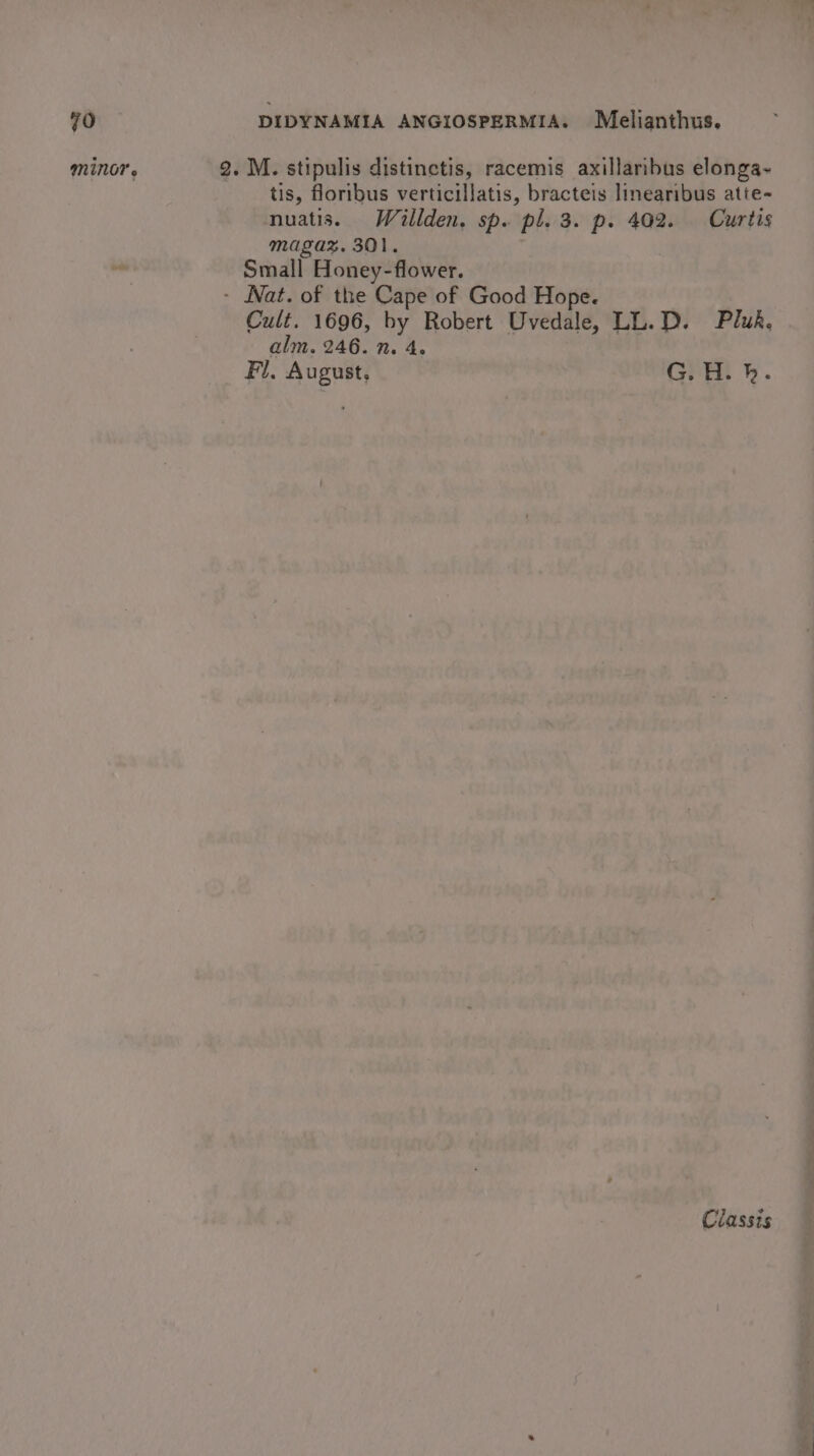 minor. 2. M. stipulis distinetis, racemis axillaribus elonga~ tis, floribus verticillatis, bracteis linearibus atte-~ nuatis. Willden, sp. pl. 3. p. 402. Curtis magaz. 301, Small Honey-flower. - Nat. of the Cape of Good Hope. Cult. 1696, by Robert Uvedale, LL.D. Pluk, alm. 246. n. 4. Fl. August, G. H. k. Classis