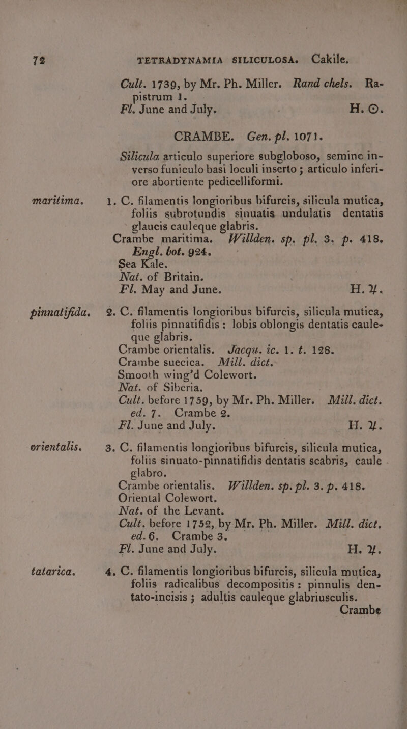 Cult. 1739, by Mr. Ph. Miller. Rand chels. Ra- pistrum 1. Fi. June and July. | H.©. CRAMBE. Gen. pl. 1071. Silicula articulo superiore subgloboso, semine in- verso funiculo basi loculi inserto ; articulo inferi- ore abortiente pedicelliformi. maritima. 1. C. filamentis longioribus bifurcis, silicula mutica, foliis subrotundis sinuatis undulatis dentatis glaucis cauleque glabris. Crambe maritima. Wallden. sp. pl. 3. p. 418. Engl. bot. 924. Sea Kale. Nat. of Britain. | Fl, May and June. Hi. yf. pinnatifida. 2. C. filamentis longioribus bifurcis, silicula mutica, foliis pinnatifidis ; lobis oblongis dentatis caule- que glabris. Crambe orientalis. Jacgu. ic. 1. t. 128. Crambe suecica. Mill. dict. Smooth wing’d Colewort. Nat. of Siberia. Cult. before 1759, by Mr. Ph. Miller. Mill. dict. ed. 7. Crambe 2. Fl. June and July. H. %. orientalis. 3. C. filamentis longioribus bifurcis, silicula mutica, foliis sinuato-pinnatifidis dentatis scabris, caule . glabro. Crambe orientalis. Wiilden. sp. pl. 3. p. 418. Oriental Colewort. Nat. of the Levant. Cult. before 1752, by Mr. Ph. Miller. Mill. dict, ed.6. Crambe 3. ie Fi, June and July. H. %. tatarica. 4. C. filamentis longioribus bifurcis, silicula mutica, foliis radicalibus decompositis : pinnulis den- tato-incisis ; adultis cauleque glabriusculis. | Crambe