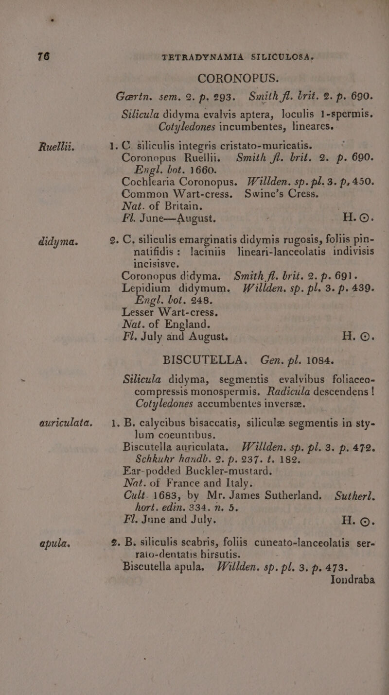 Ruellii. didyma. auriculata. apula. bet CORONOPUS. Garin. sem. 2. p. 293. Smith fl. brit. 2. p. 690. Silicula didyma evalvis aptera, loculis 1-spermis. Cotyledones incumbentes, lineares. Coronopus Ruellii. Smith fl. brit. 2. p. 690. Engl. bot. 1660. Cochlearia Coronopus. Waillden. sp. pl. 3. p.450. Common Wart-cress. Swine’s Cress. Nat. of Britain. . Fl. Jane—August. HO. natifidis: laciniis lineari-lanceolatis indivisis incisisve. Coronopus didyma. Smith fi. brit. 2. p. 691. Lepidium didymum. Willden. sp. pl. 3. p. 439. Engl. bot. 248. | Lesser Wart-cress. Nat. of England. Fi, July and August. H. ©. BISCUTELLA. Gen. pl. 1084. Silicula didyma, segmentis evalvibus foliaceo- compressis monospermis. Radicula descendens ! Cotyledones accumbentes inverse. B. calycibus bisaccatis, siliculz segmentis in sty- lum coeuntibus. Biscutella auriculata. Walden. sp. pl. 3. p. 472. Schkuhr handb. 2. p. 237. t. 182. Ear-podded Buckler-mustard. Nat. of France and Italy. Cult. 1683, by Mr. James Sutherland. Sutherl. hort. edin. 334. 7. 5. Fl, June and July. Th. ©. raio-dentatis birsutis. Biscutella apula. Willden. sp. pl. 3. p. 473. Tondraba
