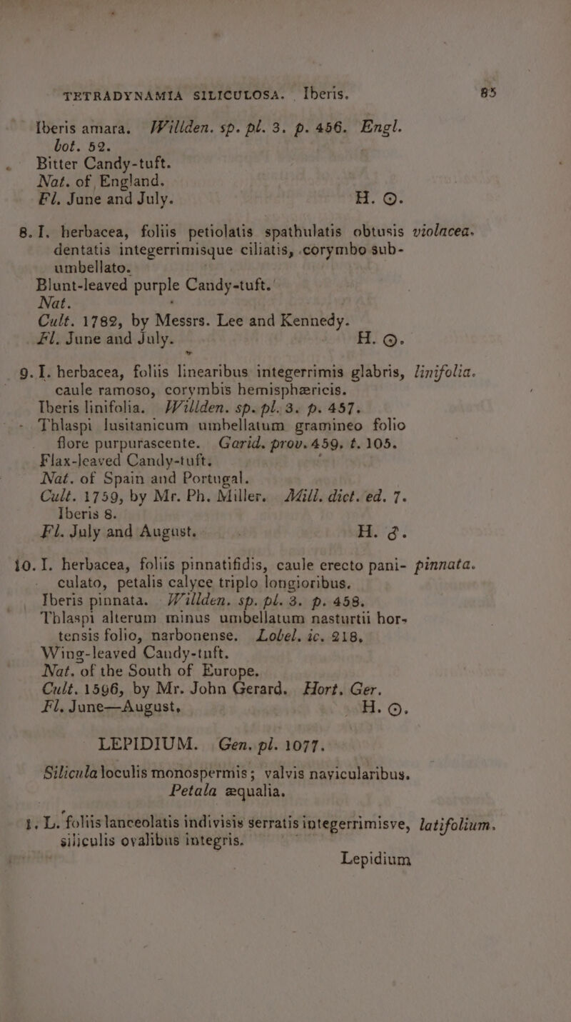 I. Iberis amara. Wiéillden. sp. pl. 3. p. 456. Engl. bot. 52. | Bitter Candy-tuft. Nat. of England. Fl, June and July. H. ©. dentatis integerrimisque ciliatis, .corymbo sub- umbellato. Blunt-leaved purple Candy-tuft. Nat. Cult. 1782, by Messrs. Lee and prerdt fl, June and July. H. ©. caule ramoso, corymbis hemispheericis. Theris linifolia. Willden. sp. pl. 3. p. 457. Thlaspi lusitanicum umbellatum gramineo folio flore purpurascente. Garid. prov.459. t. 105. Nat. of Spain and Portugal. Cult. 1759, by Mr. Ph. Miller. Ail. dict. ed. 7. Fl. July and August... H. 3. I. herbacea, foliis pinnatifidis, caule erecto pani- culato, petalis calyce triplo longioribus. Tberis pinnata. Willden. sp. pl. 3. p. 458. Thlaspi alterum minus umbellatum nasturtii hor- tensis folio, narbonense. Lobel. ic. 218, Wing-leaved Candy-tnft. Nat. of the South of Europe. Cult. 1596, by Mr. John Gerard. Hort. Ger. Fl, June—August, sad. G). LEPIDIUM. | Gen. pl. 1077. Silicula\oculis monospermis; valvis nayicularibus. Petala xqualia. L. ‘foliis lanceolatis indivisis serratis 3 Integerrimisye, siliculis oyalibus integris. Lepidium violacea. linifolia. pinnata. latifolium.