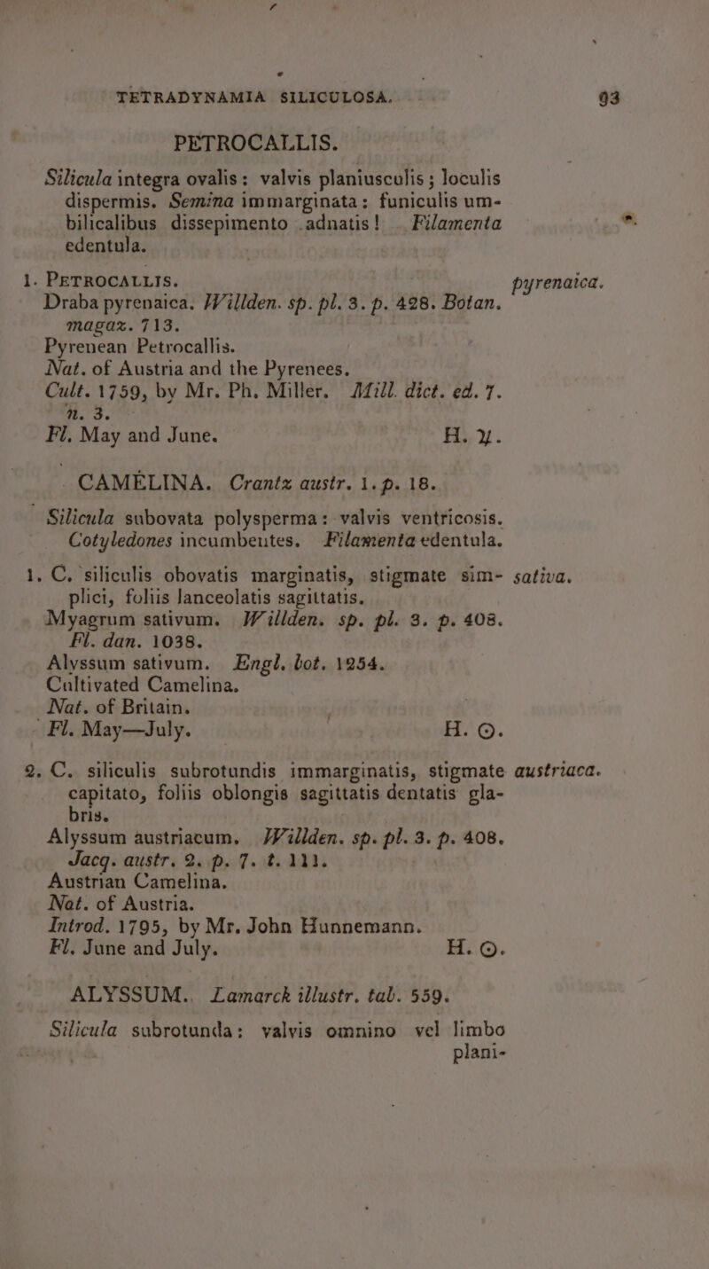 = Silicula integra ovalis: valvis planiusculis ; loculis dispermis. Semina immarginata: funiculis um- bilicalibus dissepimento .adnatis! . Filamenta edentula. Draba pyrenaica. Willden. sp. pl. 3. p. 428. Botan. magaz. 713. Pyrenean Petrocallis. Nat. of Austria and the Pyrenees. Cult. 1759, by Mr. Ph. Miller. A700. dict. ed. 7. nN. 3. Fi, May and June. A. y. _ CAMELINA. Crantz austr. 1. p. 18. = Cotyledones incumbeutes. Filameniaedentula. plict, foliis Janceolatis sagittatis. Myagrum sativum. Weillden. sp. pl. 3. p. 408. Fl. dan. 1038. Alyssum sativum. Engl, bot. 1254. Cultivated Camelina. Nat. of Britain. supitates foliis oblongis sagittatis dentatis gla- ris. Alyssum austriacum. Wilden. sp. pl. 3. p. 408. Jacq. austr. 2..p. 7. t. 111. Austrian Camelina. Nat. of Austria. Introd. 1795, by Mr. John Hunnemann. Fl, June and July. H. ©. ALYSSUM.. Lamarck illustr. tab. 559. Silicula subrotunda: valyis omnino vel limbo plani-