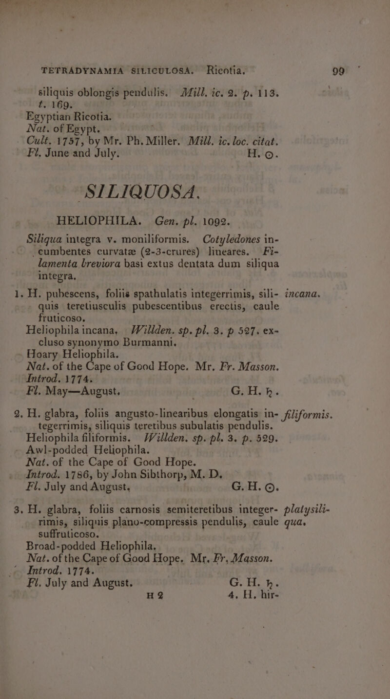 siliquis oblongis pendulis. Jill, ic. 8. p. 113. f. 169. Egyptian Ricotia. HELIOPHILA. Gen. pl. 1092. Siligua integra v. moniliformis. Cotyledones in- _cumbentes curvatz (2-3-crures) lineares. Fi- lamenta breviora basi extus dentata dum siligua integra, . H. pubescens, foliis spathulatis integerrimis, sili- ¢xcana. quis teretiusculis pubescentibus erectis, caule fruticoso,. Heliophilaincana, Wéllden. sp. pl. 3. p 527. ex- cluso synonymo Burmanni. — Hoary Heliophila. Nat. of the Cape of Good Hope. Mr. Fr. Masson. Introd. 1774. Fl, May—August, G. H. hk. tegerrimis, siliquis teretibus subulatis pendulis. Heliophila filiformis. WV2llden. sp. pl. 3. p. 529. - Awl-podded Heliophila. : Nat. of the Cape of Good Hope. Introd. 1786, by John Sibthorp, M. D. Fil. July and August, G.H.©. . H. glabra, foliis carnosis semiteretibus integer- platysili- rimis, siliquis plano-compressis pendulis, caule gua, suffruticoso. Broad-podded Heliophila. Nat. of the Cape of Good Hope. Mr, Pr, Masson. Fl, July and August. | G. H. h. Be 4, H. hir-