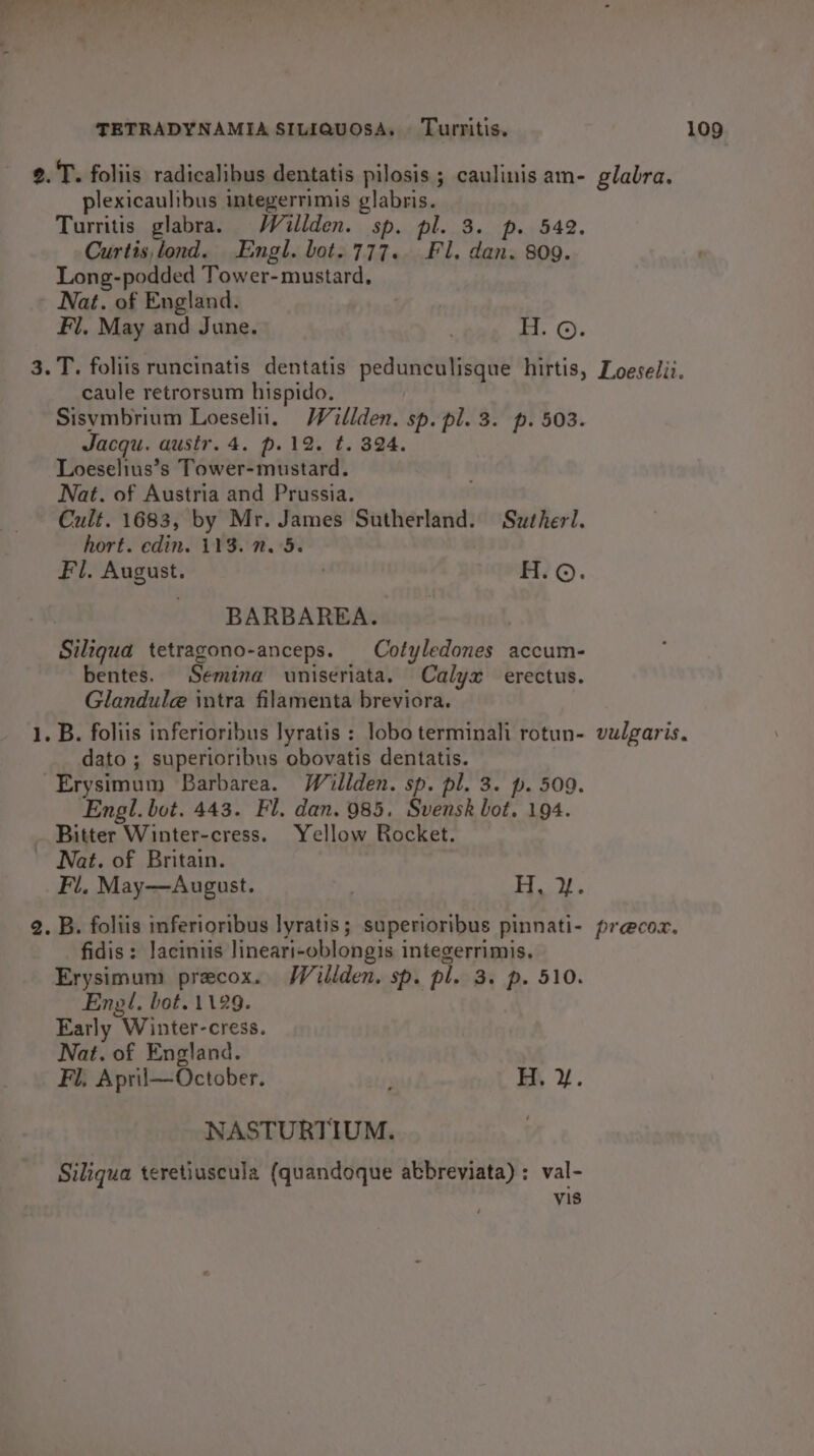 tant plexicaulibus integerrimis glabris. Turritis glabra. Waillden. sp. pl. 3. p. 542. Curtis fond. Engl. bot. 777. Fl. dan. 809. Long-podded Tower-mustard, Nat. of England. Fl. May and June. ' H. ©. caule retrorsum hispido. Sisvmbrium Loeselil, Walden. sp. pl. 3. p. 503. Jacqu. austr. 4. p.12. t. 324. Loeselius’s Tower-mustard. Nat. of Austria and Prussia. Cult. 1683, by Mr. James Sutherland. Sutherl. hort. edin. 113. n. 5. Fl. August. | H.©. BARBAREA. Siliqua tetragono-anceps. Cotyledones accum- bentes. Semina uniseriata. Calyx erectus. Glandul@ intra filamenta breviora. dato ; superioribus obovatis dentatis. Erysimum Barbarea. Willden. sp. pl. 3. p. 509. Engl. bot. 443. Fl. dan. 985. Svensk bot. 194. Bitter Winter-cress. Yellow Rocket. Fi. May—August. H, y. fidis: laciniis lineari-oblongis integerrimis. Erysimum precox. Willden. sp. pl. 3. p. 510. Engl, bot. 1129. } Early Winter-cress. Nat. of England. Fl, April—October. ’ Hy. NASTURTIUM. Siliqua teretiuscula (quandoque akbreviata): val- vis