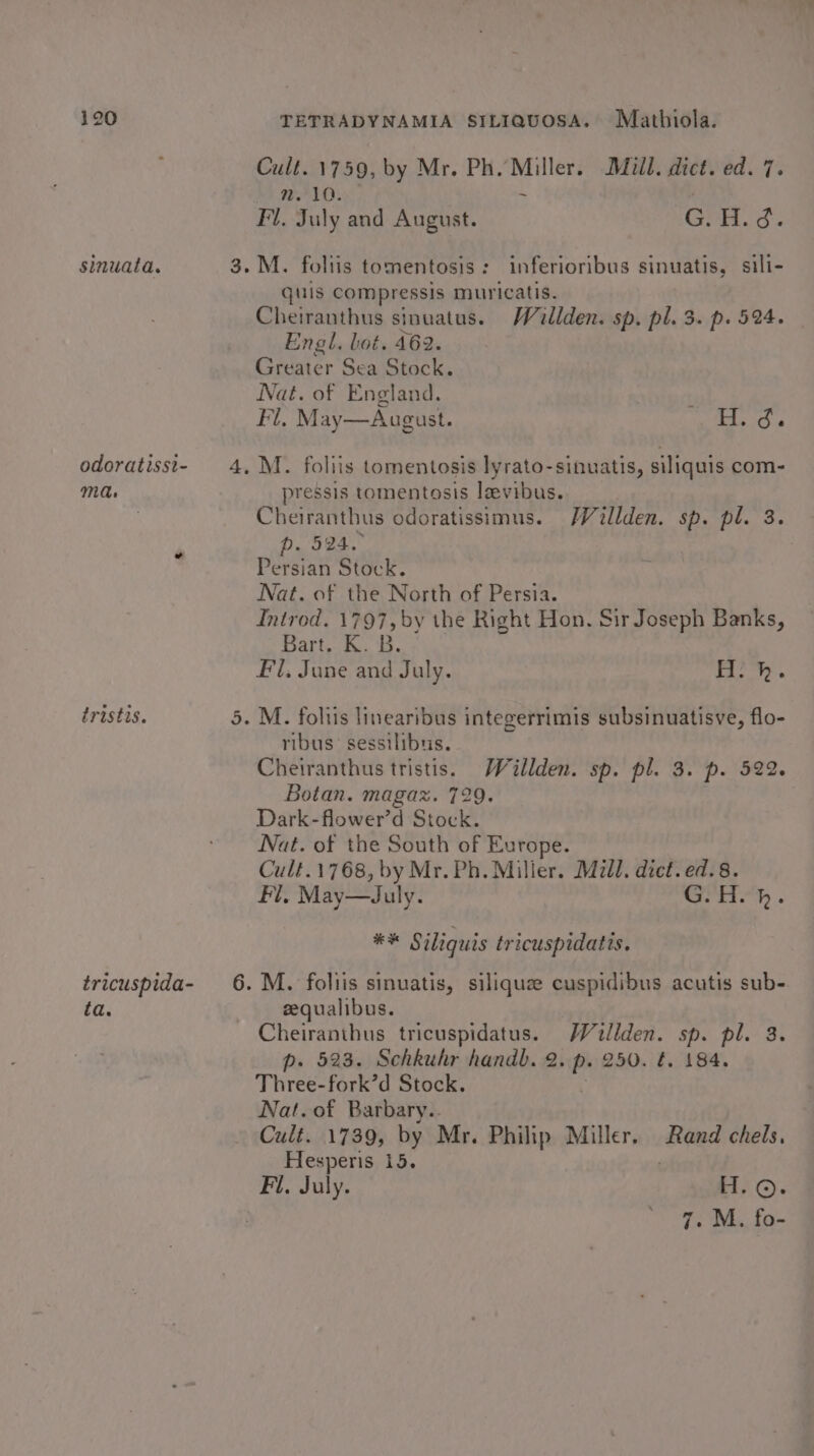 sinuata. odoratissi- ma. tristis. tricuspida- id. i&lt;®) Cult. 1759, by Mr. Ph. i he Mill. dict. ed. 7. WALD: quis compressis muricatis. Cheiranthus sinuatus. Willden. sp, pl. 3. p. 524. Engl. lot. 462. Greater Sea Stock. Nat. of England. : Fl. M ay—August. is 56 pressis tomentosis lavibus. Cheiranthus odoratissimus. WVallden. sp. pl. 3. p. 524. Persian Stock. Nat. of the North of Persia. Introd. 1797, by the Right Hon. Sir Joseph Banks, Bart. &amp;. B. Fl, June and July. ne. ribus’ sessilibus, Cheiranthus tristis. Wéillden. sp. pl. 3. p. 522. Botan. magaz. 729. Dark-flower’d Stock. Nat. of the South of Europe. Cult.1768, by Mr.Ph. Milier. Mull. dict. ed. 8. Fl, May—dJuly. rit. . ** Siliquis tricuspidatis. zequalibus. Cheiranthus tricuspidatus. WWVillden. sp. pl. 3. p. 523. Schkuhr handb. 2. p: 250. it. 484. Three-fork’d Stock. Nat. of Barbary.. Cult. 1739, by Mr. Philip Miller. Rand chels, Hesperis 15. 7. M. fo-