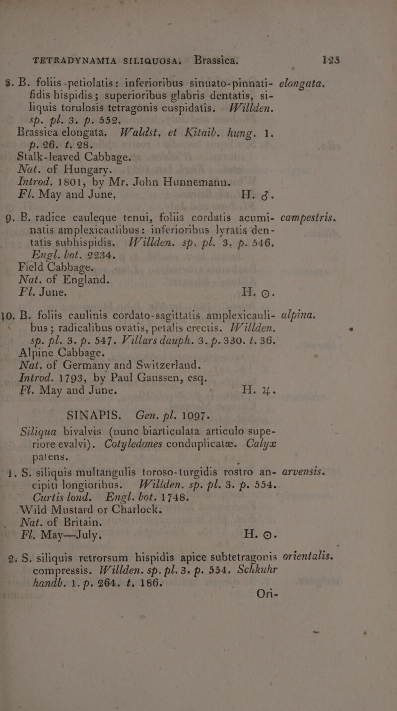 8. B. foliis-petiolatis: inferioribus sinuato-pinnati- fidis hispidis; superioribus glabris dentatis, si- liquis torulosis tetragonis cuspidatis. Willden. Sp. pl. 3. p. 552, Brassica elongata, Wealdst, et Kitail. hung. 1. p. 26. t. 28. Stalk-leaved Cabbage. Nat. of Hungary. Introd. 1801, by Mr. John Hunnemann. Fl, May and June, &gt; 3. 9. B. radice cauleque tenui, foliis cordatis acumi- natis amplexicaulibus: inferioribus lyratis den- tatis subhispidis. /Villden. sp. pl. 3. p. 546. Engl. bot. 2234. Field Cabbage. Nat. of England. Fi. June. i ©. 10. B. foliis caulinis cordato-sagittatis amplexicauli- ‘ bus; radicalibus ovatis, petalis erectis. Willden. sp. pl. 3. p. 547. Villars dauph. 3. p. 330. t. 36. Alpine Cabbage. Nat. of Germany and Switzerland. Inirod. 1793, by Paul Gaussen, esq. Fl, May and June. | Pea. tks SINAPIS. Gen. pl. 1097. Siliqua bivalyis (nunc biarticulata articulo supe- riore evalvi). Cotyledones conduplicatee. Calyx patens. » 1. S. siliquis multangulis toroso-turgidis rostro an- cipiti longioribus. Wéailiden. sp. pl. 3. p. 554. Curtis lond. Engl. bot. 1748. Wild Mustard or Charlock. Nat. of Britain. Fl, May—July. rr. 2. S. siliquis retrorsum hispidis apice subtetragonis compressis. Willden. sp. pl. 3. p. 554. Schkuhr handb. 1. p. 264, t, 186. pe ri- elongata. campestris. alpina. arvensis. orientalis.