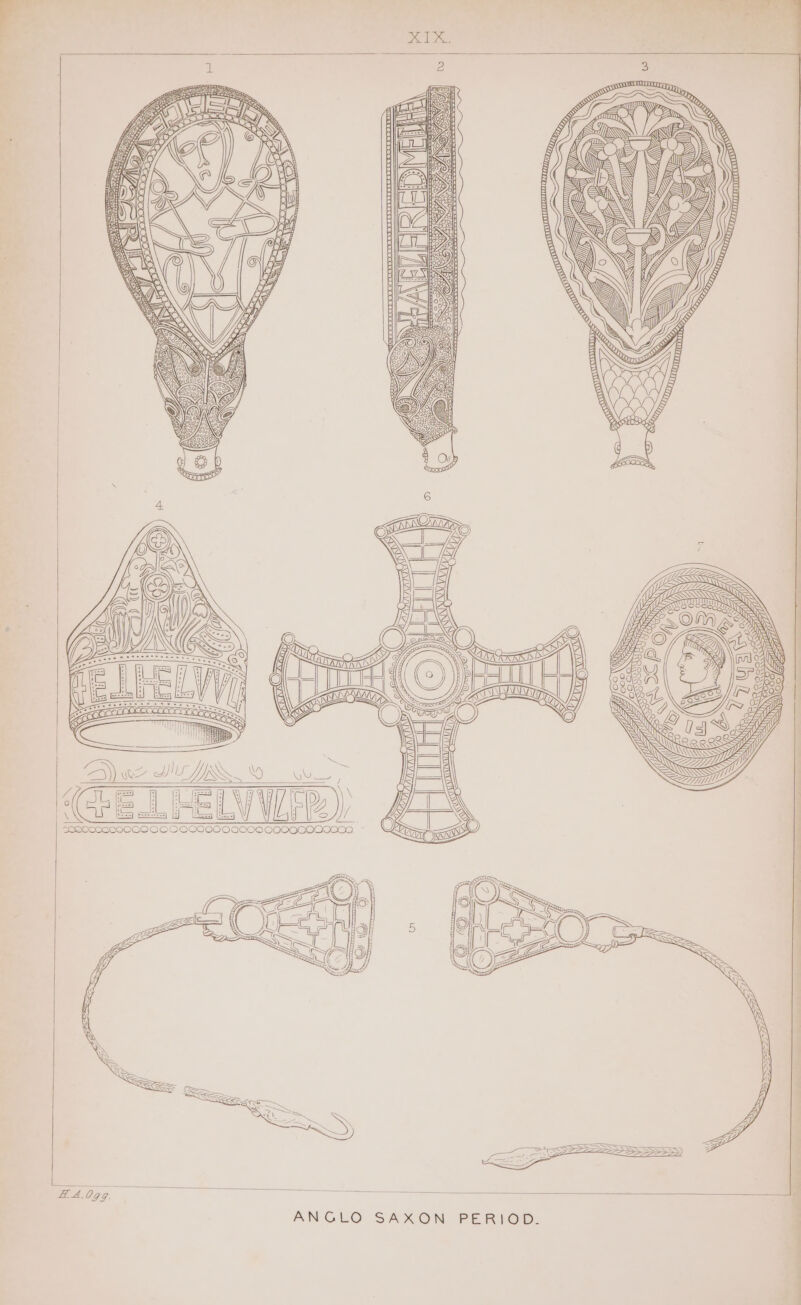 i? >, VY ee DA LO Dr, reneouereeceee \ sHeeoNSCeEC OO OC CO CCOCOOOOCOOCOCO0G0Raa °