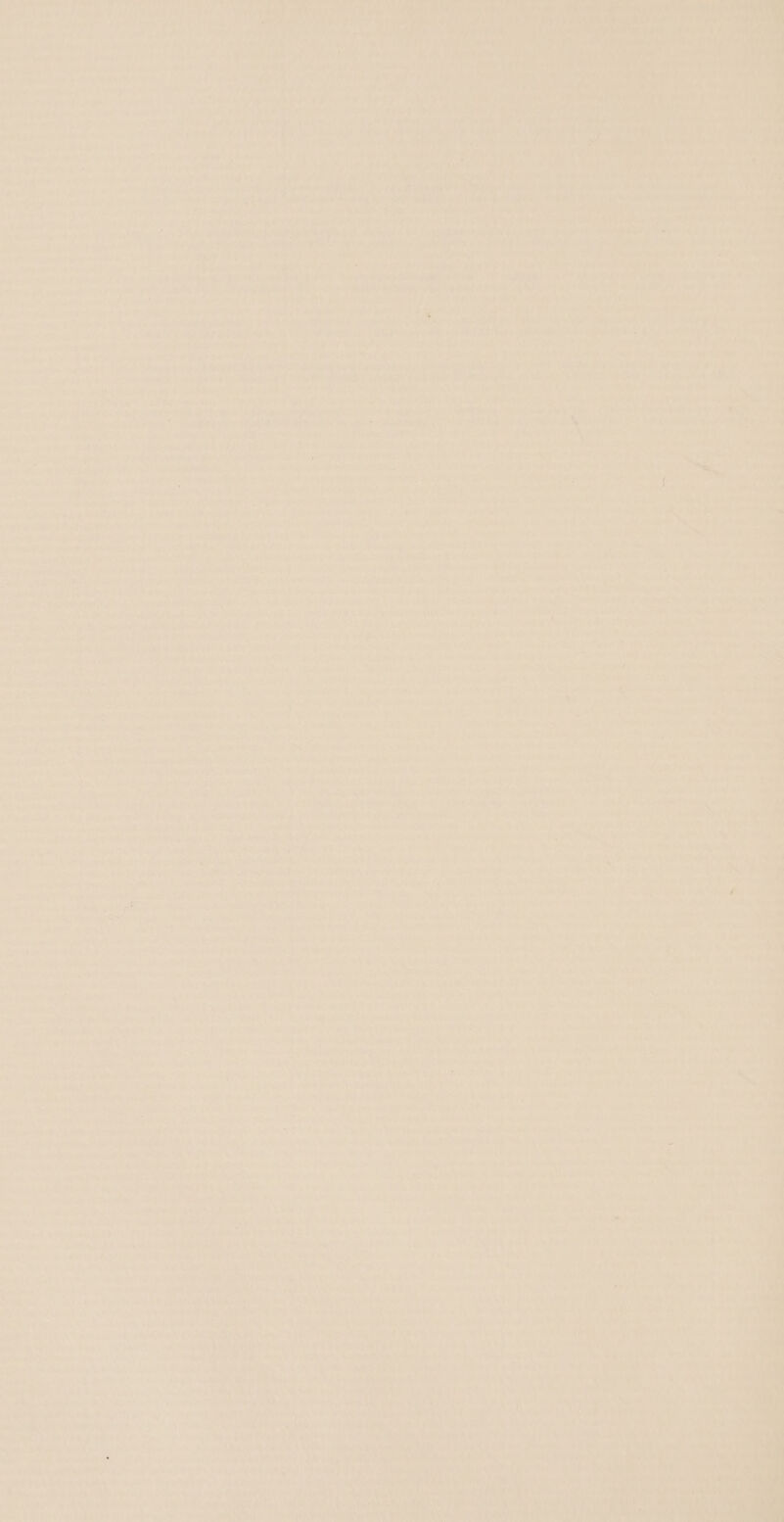 el TF iil ae ; Wei) pea ties iy es Py Oras? bay Pall AS ie cate eae nie se ee ye Pha ine aial FAD RT hed i ie 7 Ciel Gs id 5 oat ia, $3 ori eager earns Piva deat 1% on cites eu EA (cx sire S : avy ad ae ie od oe ik eer oh) runs <) a Dee Vc il , ; we (ee Dri tex Mitek be Adedl oo AA v ‘oe 7 [) whet adeu i s'4 ‘¥ Gey ay ty oe | s * me 7 $44 aed mah : Sire eat * swe «@ weve sl p yx G40 Aj abis arms + shen, pig re, & eee or: —_ , ‘ . uta Awa by ae he. pica P : a ee eA ay Se deine 7 one elk ; Dora Geka ‘i 4 pat a sia tee d a J ewe oS LOL = . ; aes i. a ; itt + 4 : . fi ye af a ) rey 1 Re co = ’ Net a ‘ 4 iw Odd) We Wik Ly . ws a ‘3 $4 ‘ , Ye rand, > G4): nr§ vow