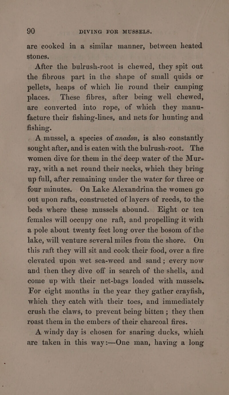 are cooked in a similar manner, between heated stones, After the bulrush-root is chewed, they spit out the fibrous part in the shape of small quids or pellets, heaps of which lie round their camping places. These fibres, after being well chewed, are converted into rope, of which they manu- facture their fishing-lines, and nets for hunting and fishing. A mussel, a species of anadon, is also constantly sought after, and is eaten with the bulrush-root. The women dive for them in the deep water of the Mur- ray, with a net round their necks, which they bring up full, after remaining under the water for three or four minutes. On Lake Alexandrina the women go out upon rafts, constructed of layers of reeds, to the beds where these mussels abound. Light or ten females will occupy one raft, and propelling it with a pole about twenty feet long over the bosom of the lake, will venture several miles from the shore. On this raft they will sit and cook their food, over a fire elevated upon wet sea-weed and sand; every now and then they dive off in search of the shells, and come up with their net-bags loaded with mussels. For eight months in the year they gather crayfish, which they catch with their toes, and immediately erush the claws, to prevent being bitten; they then roast them in the embers of their charcoal fires. A windy day is chosen for snaring ducks, which are taken in this way:—One man, having a long