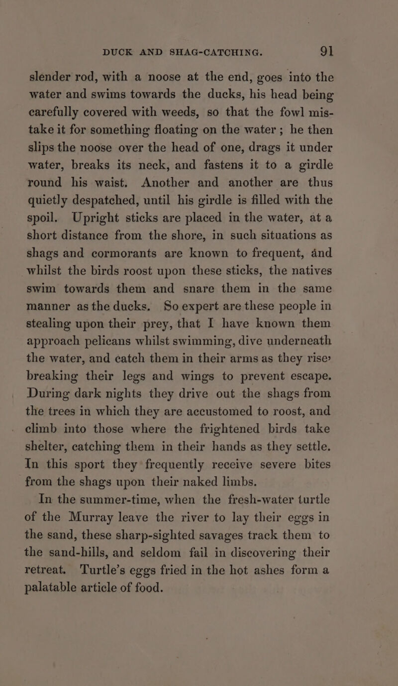 slender rod, with a noose at the end, goes into the water and swims towards the ducks, his head being carefully covered with weeds, so that the fowl mis- take it for something floating on the water ; he then slips the noose over the head of one, drags it under water, breaks its neck, and fastens it to a girdle round his waist. Another and another are thus quietly despatched, until his girdle is filled with the spoil. Upright sticks are placed in the water, at a short distance from the shore, in such situations as shags and cormorants are known to frequent, and whilst the birds roost upon these sticks, the natives swim towards them and snare them in the same manner asthe ducks. So expert are these people in stealing upon their prey, that I have known them approach pelicans whilst swimming, dive underneath the water, and catch them in their arms as they rise breaking their legs and wings to prevent escape. During dark nights they drive out the shags from the trees in which they are accustomed to roost, and climb into those where the frightened birds take shelter, catching them in their hands as they settle. In this sport they frequently receive severe bites from the shags upon their naked limbs. In the summer-time, when the fresh-water turtle of the Murray leave the river to lay their eggs in the sand, these sharp-sighted savages track them to the sand-hills, and seldom fail in discovering their retreat. Turtle’s eggs fried in the hot ashes form a palatable article of food.