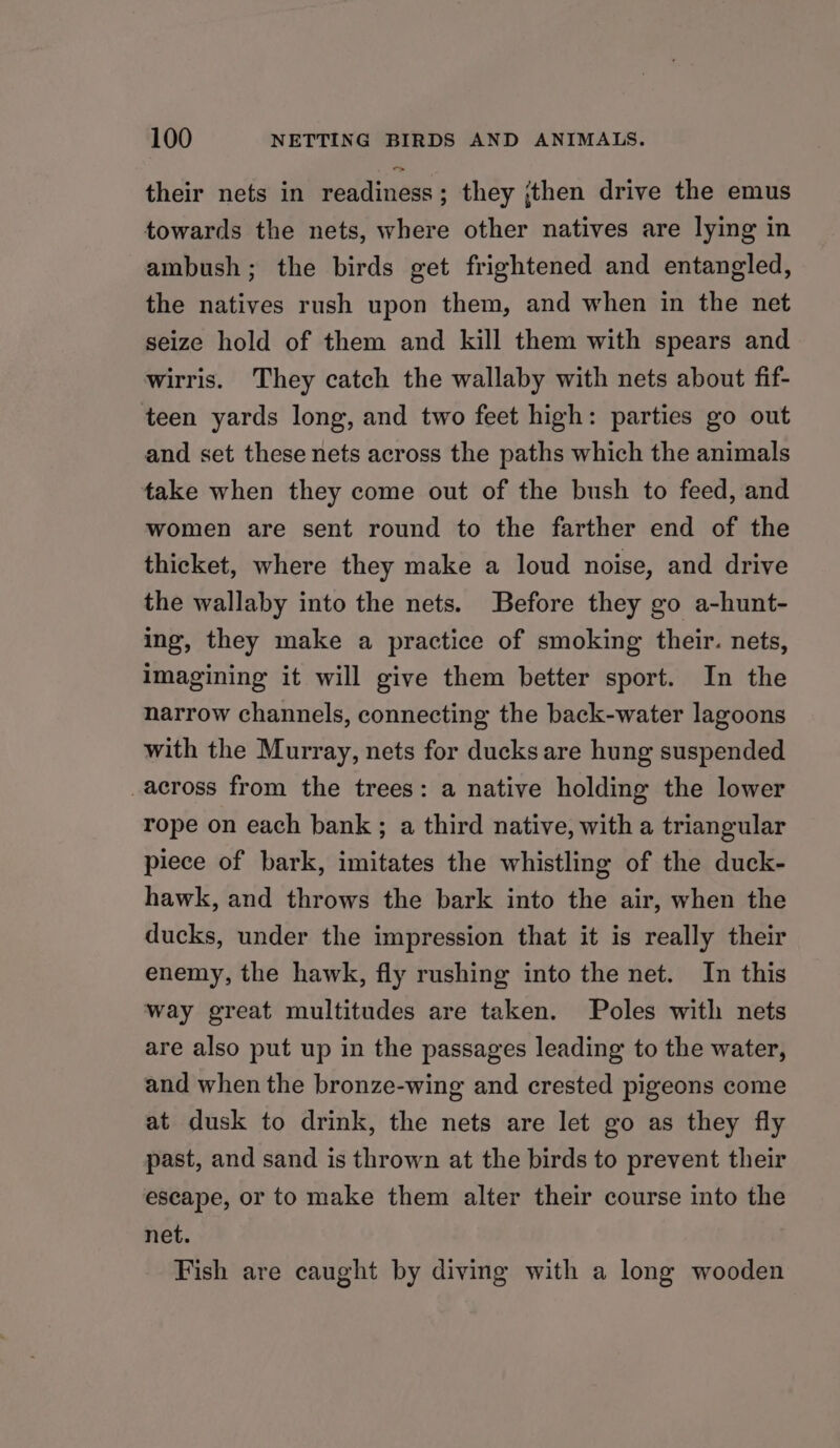 their nets in readiness; they ;jthen drive the emus towards the nets, where other natives are lying in ambush; the birds get frightened and entangled, the natives rush upon them, and when in the net seize hold of them and kill them with spears and wirris. They catch the wallaby with nets about fif- teen yards long, and two feet high: parties go out and set these nets across the paths which the animals take when they come out of the bush to feed, and women are sent round to the farther end of the thicket, where they make a loud noise, and drive the wallaby into the nets. Before they go a-hunt- ing, they make a practice of smoking their. nets, imagining it will give them better sport. In the narrow channels, connecting the back-water lagoons with the Murray, nets for ducks are hung suspended across from the trees: a native holding the lower rope on each bank; a third native, with a triangular piece of bark, imitates the whistling of the duck- hawk, and throws the bark into the air, when the ducks, under the impression that it is really their enemy, the hawk, fly rushing into the net. In this way great multitudes are taken. Poles with nets are also put up in the passages leading to the water, and when the bronze-wing and crested pigeons come at dusk to drink, the nets are let go as they fly past, and sand is thrown at the birds to prevent their escape, or to make them alter their course into the net. Fish are caught by diving with a long wooden