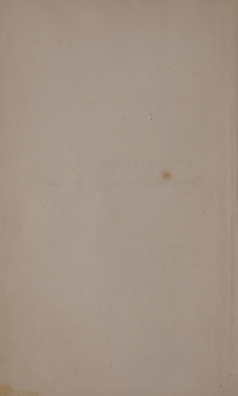 i ea OE ORE eae ay . aah Sec iL ad wy 44 a.