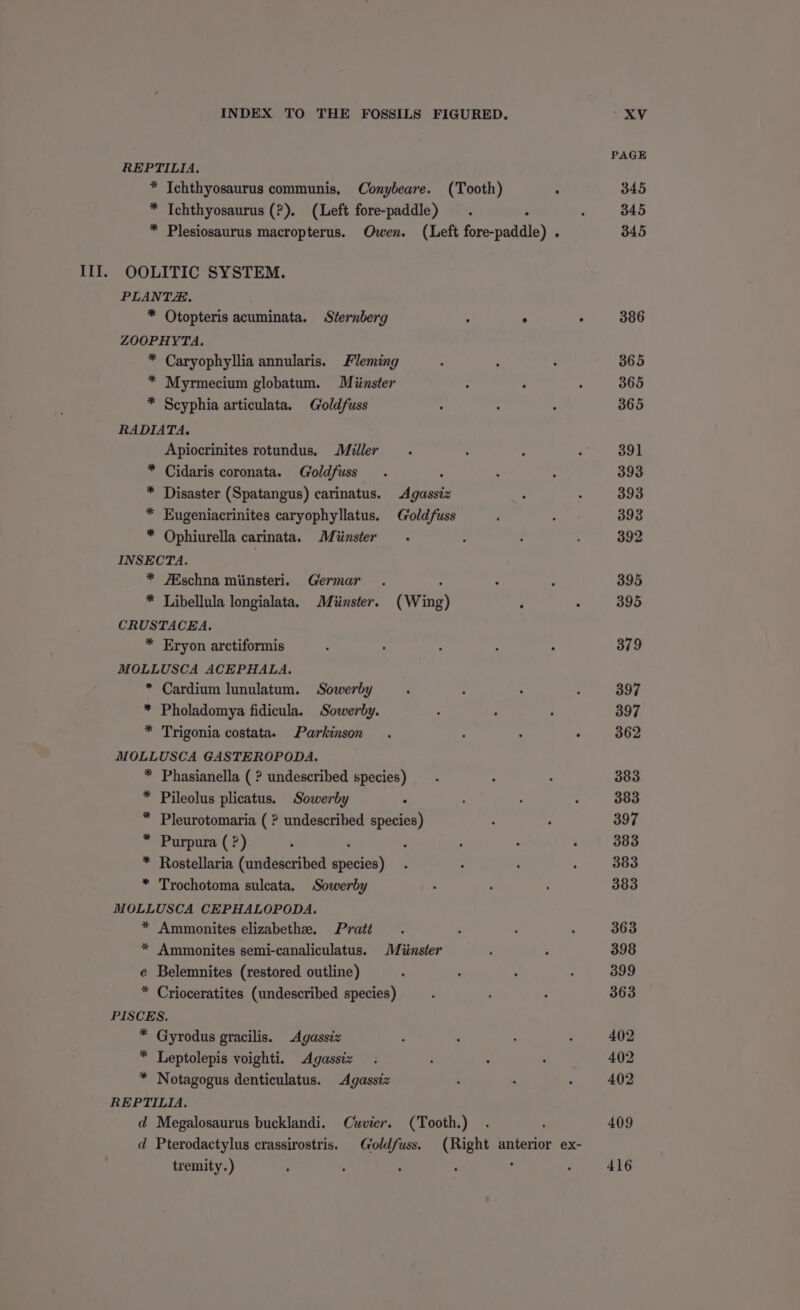 III. REPTILIA, * Tchthyosaurus (?). (Left fore-paddle) OOLITIC SYSTEM. PLANTZZ. * Otopteris acuminata. Sternberg ZOOPHYTA. * Caryophyllia annularis. Fleming * Myrmecium globatum. Miinster * Scyphia articulata. Goldfuss RADIATA, Apiocrinites rotundus. Miller * Cidaris coronata. Goldfuss ; * Disaster (Spatangus) carinatus. Agassiz * Hugeniacrinites caryophyllatus. G'oldfuss * Ophiurella carinata. Minster . INSECTA. : * /Eschna miinsteri. Germar : * Libellula longialata. Miinster. (Wing) CRUSTACEA. * Eryon arctiformis MOLLUSCA ACEPHALA. * Cardium lunulatum. Sowerby * Pholadomya fidicula. Sowerby. * Trigonia costatae Parkinson MOLLUSCA GASTEROPODA. * Phasianella ( ? undescribed species) * Pileolus plicatus. Sowerby Pleurotomaria ( ? undescribed species) Purpura (?) ; Rostellaria (undescribed species) Trochotoma sulcata. Sowerby MOLLUSCA CEPHALOPODA. * Ammonites elizabethe. Pratt * Ammonites semi-canaliculatus. Miinster e Belemnites (restored outline) * Crioceratites (undescribed species) PISCES. * Gyrodus gracilis. Agassiz * Leptolepis voighti. Agassiz * Notagogus denticulatus. Agassiz REPTILIA. < e! E S tremity.)