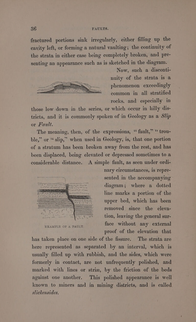 fractured portions sink irregularly, either fillmg up the cavity left, or forming a natural vaulting; the continuity of the strata in either case being completely broken, and pre- senting an appearance such as is sketched in the diagram. Now, such a disconti- nuity of the strata is a phenomenon exceedingly common in all stratified rocks, and especially in those low down in the series, or which occur in hilly dis- tricts, and it is commonly spoken of in Geology as a Slip or Fault. The meaning, then, of the expressions, ‘ fault,” ‘ trou- ble,” or “slip,” when used in Geology, is, that one portion of a stratum has been broken away from the rest, and has been displaced, being elevated or depressed sometimes to a considerable distance. A simple fault, as seen under ordi- nary circumstances, is repre- sented in the accompanying diagram; where a dotted line marks a portion of the upper bed, which has been removed since the eleva- tion, leaving the general sur- face without any external proof of the elevation that has taken place on one side of the fissure. The strata are here represented as separated by an interval, which is usually filled up with rubbish, and the sides, which were formerly in contact, are not unfrequently polished, and marked with lines or strie, by the friction of the beds against one another. This polished appearance is well known to miners and in mining districts, and is called slickensides.