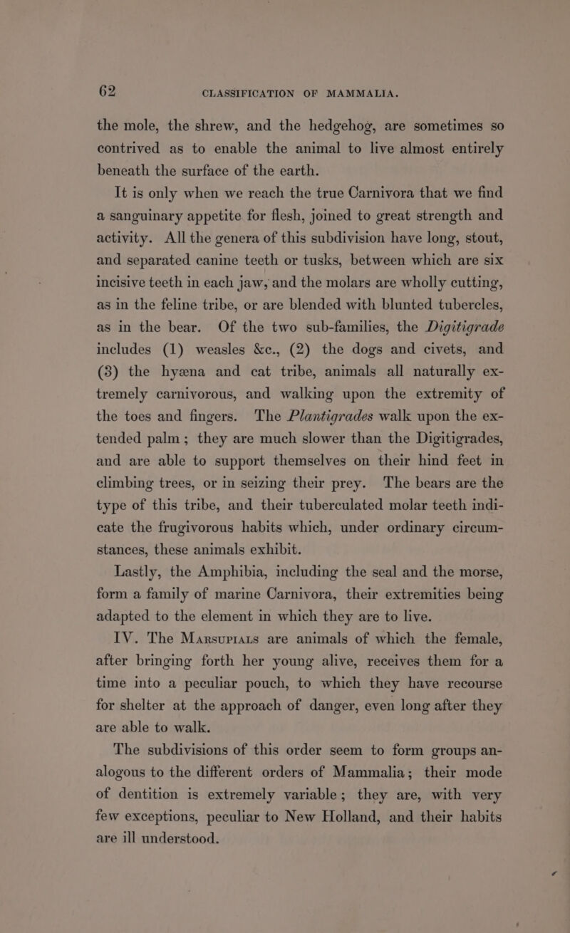 the mole, the shrew, and the hedgehog, are sometimes so contrived as to enable the animal to live almost entirely beneath the surface of the earth. It is only when we reach the true Carnivora that we find a sanguinary appetite for flesh, joined to great strength and activity. All the genera of this subdivision have long, stout, and separated canine teeth or tusks, between which are six incisive teeth in each jaw, and the molars are wholly cutting, as in the feline tribe, or are blended with blunted tubercles, as in the bear. Of the two sub-families, the Digitigrade includes (1) weasles &amp;c., (2) the dogs and civets, and (3) the hyena and cat tribe, animals all naturally ex- tremely carnivorous, and walking upon the extremity of the toes and fingers. The Plantigrades walk upon the ex- tended palm; they are much slower than the Digitigrades, and are able to support themselves on their hind feet in climbing trees, or in seizing their prey. The bears are the type of this tribe, and their tuberculated molar teeth indi- cate the frugivorous habits which, under ordinary cireum- stances, these animals exhibit. Lastly, the Amphibia, including the seal and the morse, form a family of marine Carnivora, their extremities being adapted to the element in which they are to live. IV. The Marsvrrats are animals of which the female, after bringing forth her young alive, receives them for a time into a peculiar pouch, to which they have recourse for shelter at the approach of danger, even long after they are able to walk. The subdivisions of this order seem to form groups an- alogous to the different orders of Mammalia; their mode of dentition is extremely variable; they are, with very few exceptions, peculiar to New Holland, and their habits are ill understood.