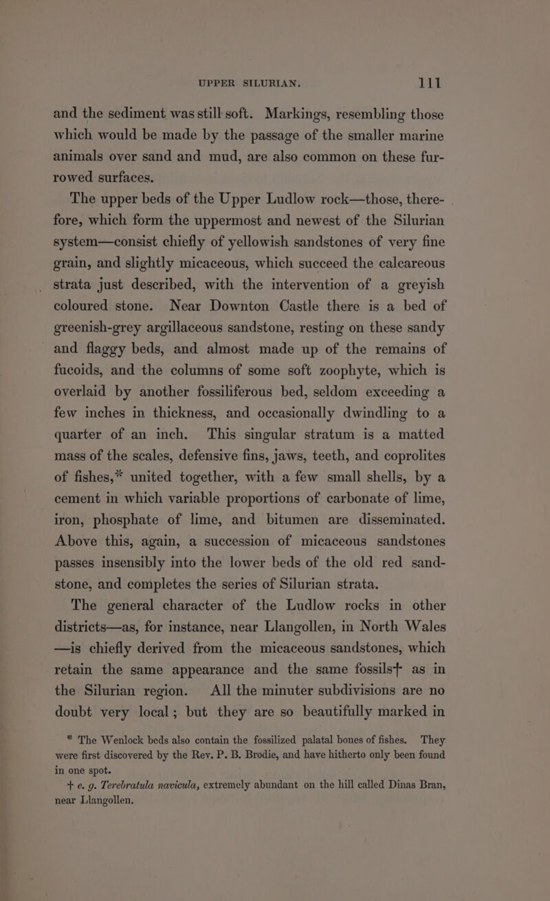 and the sediment was still soft. Markings, resembling those which would be made by the passage of the smaller marine animals over sand and mud, are also common on these fur- rowed surfaces. The upper beds of the Upper Ludlow rock—those, there- . fore, which form the uppermost and newest of the Silurian system—consist chiefly of yellowish sandstones of very fine grain, and slightly micaceous, which succeed the calcareous strata just described, with the intervention of a greyish coloured stone. Near Downton Castle there is a bed of greenish-grey argillaceous sandstone, resting on these sandy and flaggy beds, and almost made up of the remains of fucoids, and the columns of some soft zoophyte, which is overlaid by another fossiliferous bed, seldom exceeding a few inches in thickness, and occasionally dwindling to a quarter of an inch. This singular stratum is a matted mass of the scales, defensive fins, jaws, teeth, and coprolites of fishes,* united together, with a few small shells, by a cement in which variable proportions of carbonate of lime, iron, phosphate of lime, and bitumen are disseminated. Above this, again, a succession of micaceous sandstones passes insensibly into the lower beds of the old red sand- stone, and completes the series of Silurian strata. The general character of the Ludlow rocks in other districts—as, for instance, near Llangollen, in North Wales —is chiefly derived from the micaceous sandstones, which retain the same appearance and the same fossils? as in the Silurian region. All the minuter subdivisions are no doubt very local; but they are so beautifully marked in * The Wenlock beds also contain the fossilized palatal bones of fishes. They were first discovered by the Rey. P. B. Brodie, and have hitherto only been found in one spot. +e. 9g. Terebratula navicula, extremely abundant on the hill called Dinas Bran, near Llangollen.