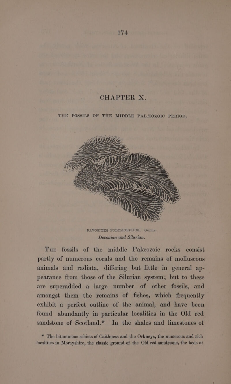 CHAPTER X. THE FOSSILS OF THE MIDDLE PALAZOZOIC PERIOD. Devonian and Silurian. Tue fossils of the middle Paleozoic rocks consist partly of numerous corals and the remains of molluscous animals and radiata, differmg but little in general ap- pearance from those of the Silurian system; but to these are superadded a large number of other fossils, and amongst them the remains of fishes, which frequently exhibit a perfect outline of the animal, and have been found abundantly in particular localities m the Old red sandstone of Scotland.* In the shales and limestones of * The bituminous schists of Caithness and the Orkneys, the numerous and rich localities in Morayshire, the classic ground of the Old red sandstone, the beds at