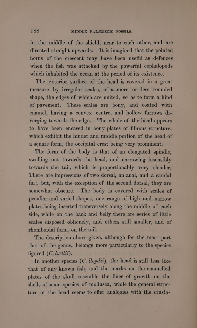 in the middle of the shield, near to each other, and are directed straight upwards. It is imagined that the pointed horns of the crescent may have been useful as defences when the fish was attacked by the powerful cephalopods which inhabited the ocean at the period of its existence. The exterior surface of the head is covered in a great measure by regular scales, of a more or less rounded shape, the edges of which are united, so as to form a kind of pavement. These scales are bony, and coated with enamel, having a convex centre, and hollow furrows di- verging towards the edge. The whole of the head appears to have been encased in bony plates of fibrous structure, which exhibit the hinder and middle portion of the head of a square form, the occipital crest being very prominent. The form of the body is that of an elongated spindle, swelling out towards the head, and narrowing insensibly towards the tail, which is proportionably very slender, There are impressions of two dorsal, an anal, and a caudal fin; but, with the exception of the second dorsal, they are somewhat obscure. The body is covered with scales of peculiar and varied shapes, one range of high and narrow plates being inserted transversely along the middle of each side, while on the back and belly there are series of little scales disposed obliquely, and others still smaller, and of rhomboidal form, on the tail. The description above given, although for the most part that of the genus, belongs more particularly to the species figured (C. lyellit). In another species (C. U/oydiz), the head is still less like that of any known fish, and the marks on the enamelled plates of the skull resemble the lines of growth on the shells of some species of mollusca, while the general struc- ture of the head seems to offer analogies with the crusta-