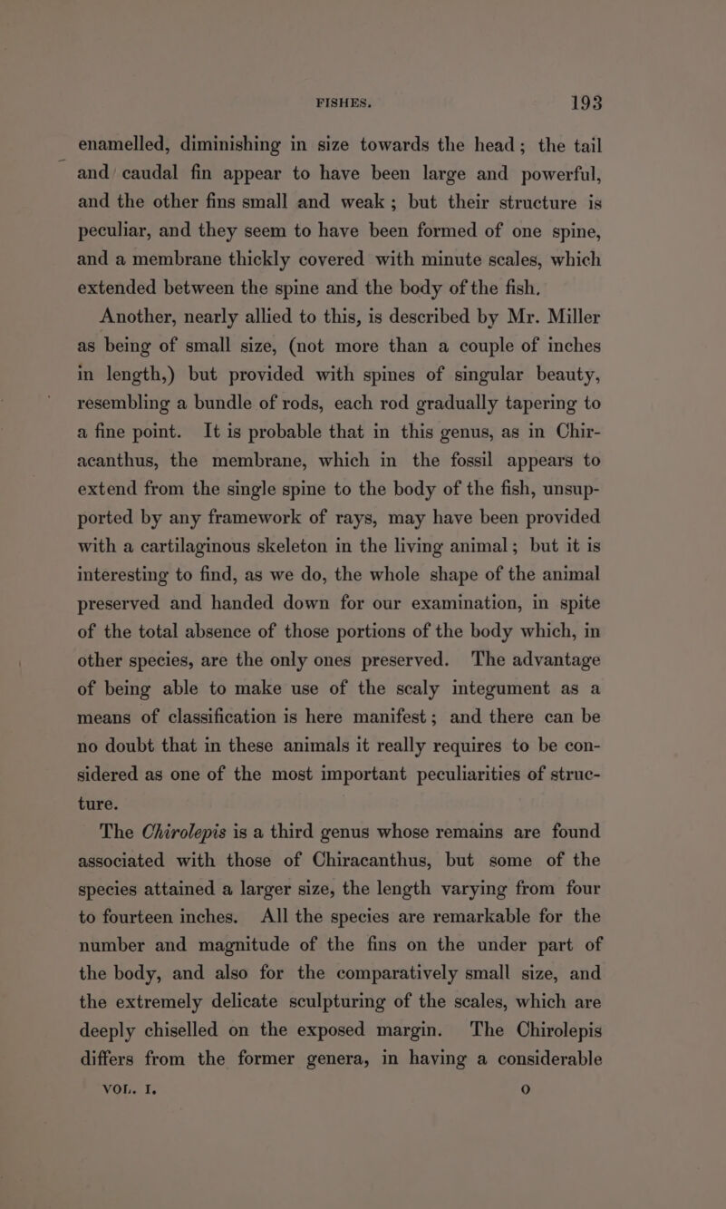 enamelled, diminishing in size towards the head; the tail and/ caudal fin appear to have been large and powerful, and the other fins small and weak; but their structure is peculiar, and they seem to have been formed of one spine, and a membrane thickly covered with minute scales, which extended between the spine and the body of the fish. Another, nearly allied to this, is described by Mr. Miller as being of small size, (not more than a couple of inches in length,) but provided with spines of singular beauty, resembling a bundle of rods, each rod gradually tapering to a fine point. It is probable that in this genus, as in Chir- acanthus, the membrane, which in the fossil appears to extend from the single spine to the body of the fish, unsup- ported by any framework of rays, may have been provided with a cartilaginous skeleton in the living animal; but it is interesting to find, as we do, the whole shape of the animal preserved and handed down for our examination, in spite of the total absence of those portions of the body which, in other species, are the only ones preserved. The advantage of being able to make use of the scaly integument as a means of classification is here manifest; and there can be no doubt that in these animals it really requires to be con- sidered as one of the most important peculiarities of struc- ture. The Chirolepis is a third genus whose remains are found associated with those of Chiracanthus, but some of the species attained a larger size, the length varying from four to fourteen inches, All the species are remarkable for the number and magnitude of the fins on the under part of the body, and also for the comparatively small size, and the extremely delicate sculpturing of the scales, which are deeply chiselled on the exposed margin. The Chirolepis differs from the former genera, in haying a considerable VOL. I; 0