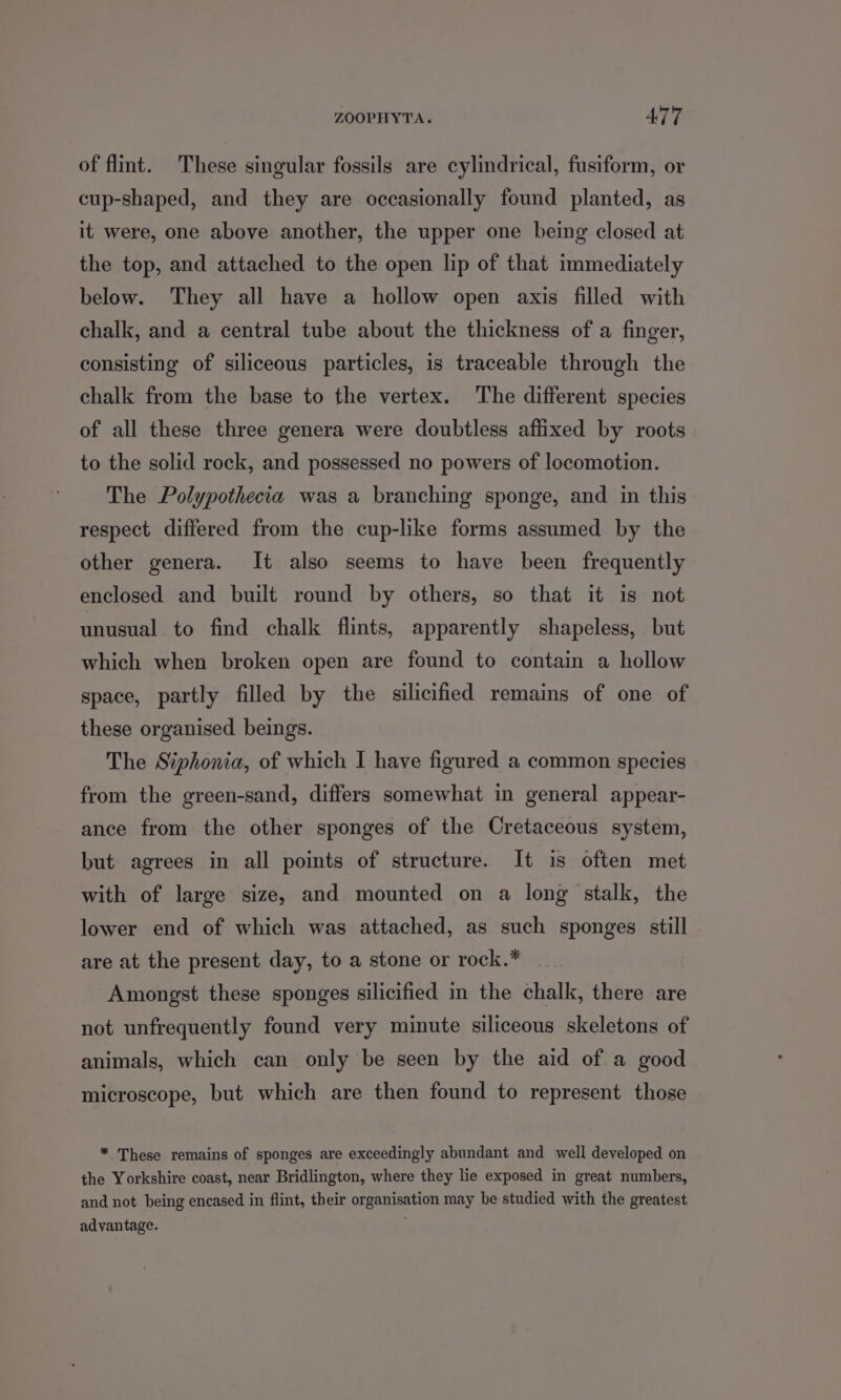 of flint. These singular fossils are cylindrical, fusiform, or cup-shaped, and they are occasionally found planted, as it were, one above another, the upper one being closed at the top, and attached to the open lip of that immediately below. They all have a hollow open axis filled with chalk, and a central tube about the thickness of a finger, consisting of siliceous particles, is traceable through the chalk from the base to the vertex. The different species of all these three genera were doubtless affixed by roots to the solid rock, and possessed no powers of locomotion. The Polypothecia was a branching sponge, and in this respect differed from the cup-like forms assumed by the other genera. It also seems to have been frequently enclosed and built round by others, so that it is not unusual to find chalk flints, apparently shapeless, but which when broken open are found to contain a hollow space, partly filled by the silicified remains of one of these organised beings. The Siphonia, of which I have figured a common species from the green-sand, differs somewhat in general appear- ance from the other sponges of the Cretaceous system, but agrees in all points of structure. It is often met with of large size, and mounted on a long stalk, the lower end of which was attached, as such sponges still are at the present day, to a stone or rock.* | Amongst these sponges silicified in the chalk, there are not unfrequently found very minute siliceous skeletons of animals, which can only be seen by the aid of a good microscope, but which are then found to represent those * These remains of sponges are exceedingly abundant and well developed on the Yorkshire coast, near Bridlington, where they lie exposed in great numbers, and not being encased in flint, their organisation may be studied with the greatest advantage. :