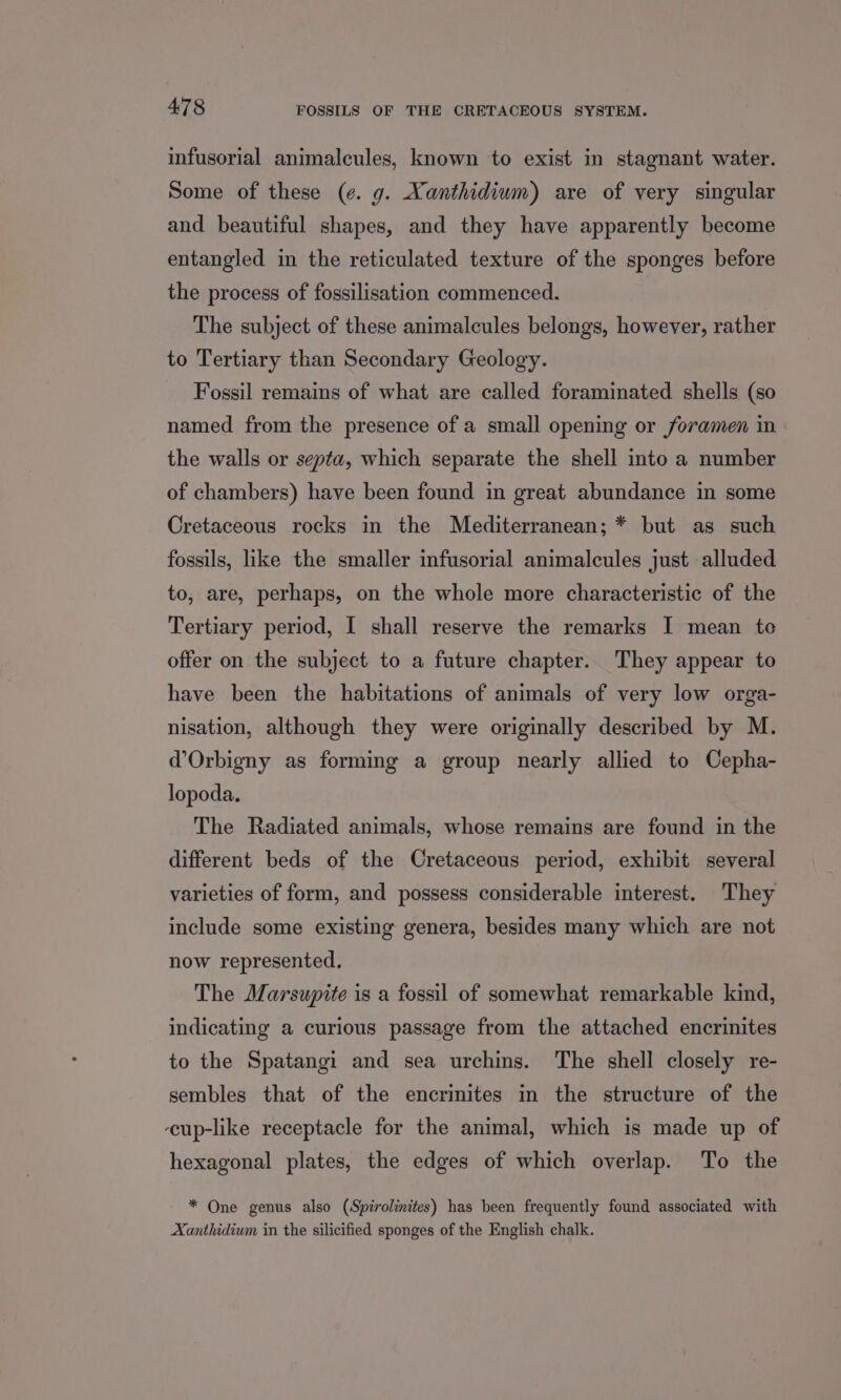 infusorial animalcules, known to exist in stagnant water. Some of these (¢. g. Xanthidium) are of very singular and beautiful shapes, and they have apparently become entangled in the reticulated texture of the sponges before the process of fossilisation commenced. The subject of these animalcules belongs, however, rather to Tertiary than Secondary Geology. Fossil remains of what are called foraminated shells (so named from the presence of a small opening or foramen in the walls or septa, which separate the shell into a number of chambers) have been found in great abundance in some Cretaceous rocks in the Mediterranean; * but as such fossils, like the smaller infusorial animalcules just alluded to, are, perhaps, on the whole more characteristic of the Tertiary period, I shall reserve the remarks I mean te offer on the subject to a future chapter. They appear to have been the habitations of animals of very low orga- nisation, although they were originally described by M. @Orbigny as forming a group nearly allied to Cepha- lopoda. The Radiated animals, whose remains are found in the different beds of the Cretaceous period, exhibit several varieties of form, and possess considerable interest. They include some existing genera, besides many which are not now represented. The Marsupite is a fossil of somewhat remarkable kind, indicating a curious passage from the attached encrinites to the Spatangi and sea urchins. The shell closely re- sembles that of the encrinites in the structure of the ‘cup-like receptacle for the animal, which is made up of hexagonal plates, the edges of which overlap. To the * One genus also (Spirolinites) has been frequently found associated with Aanthidium in the silicified sponges of the English chalk.