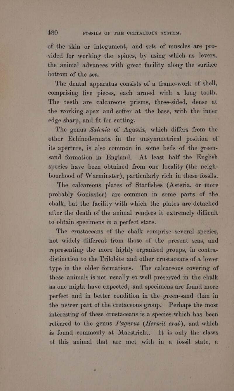 of the skin or integument, and sets of muscles are pro- vided for working the spines, by using which as levers, the animal advances with great facility along the surface bottom of the sea. The dental apparatus consists of a frame-work of shell, comprising five pieces, each armed with a long tooth. The teeth are calcareous prisms, three-sided, dense at the working apex and softer at the base, with the inner edge sharp, and fit for cutting. The genus Salenia of Agassiz, which differs from the other Echinodermata. in the unsymmetrical position of its aperture, is also common in some beds of the green- sand formation in England. At least half the English species have been obtained from one locality (the neigh- bourhood of Warminster), particularly rich in these fossils. The calcareous plates of Starfishes (Asteria, or more probably Goniaster) are common in some parts of the chalk, but the facility with which the plates are detached after the death of the animal renders it extremely difficult to obtain specimens in a perfect state. The crustaceans of the chalk comprise several species, not widely different from those of the present seas, and representing the more highly organised groups, in contra- distinction to the Trilobite and other crustaceans of a lower type in the older formations. ‘The calcareous covering of these animals is not usually so well preserved in the chalk as one might have expected, and specimens are found more perfect and in better condition in the green-sand than in the newer part of the cretaceous group. Perhaps the most interesting of these crustaceans is a species which has been referred to the genus Pagurus (Hermit crab), and which is found commonly at Maestricht. It is only the claws of this animal that are met with in a fossil state, a